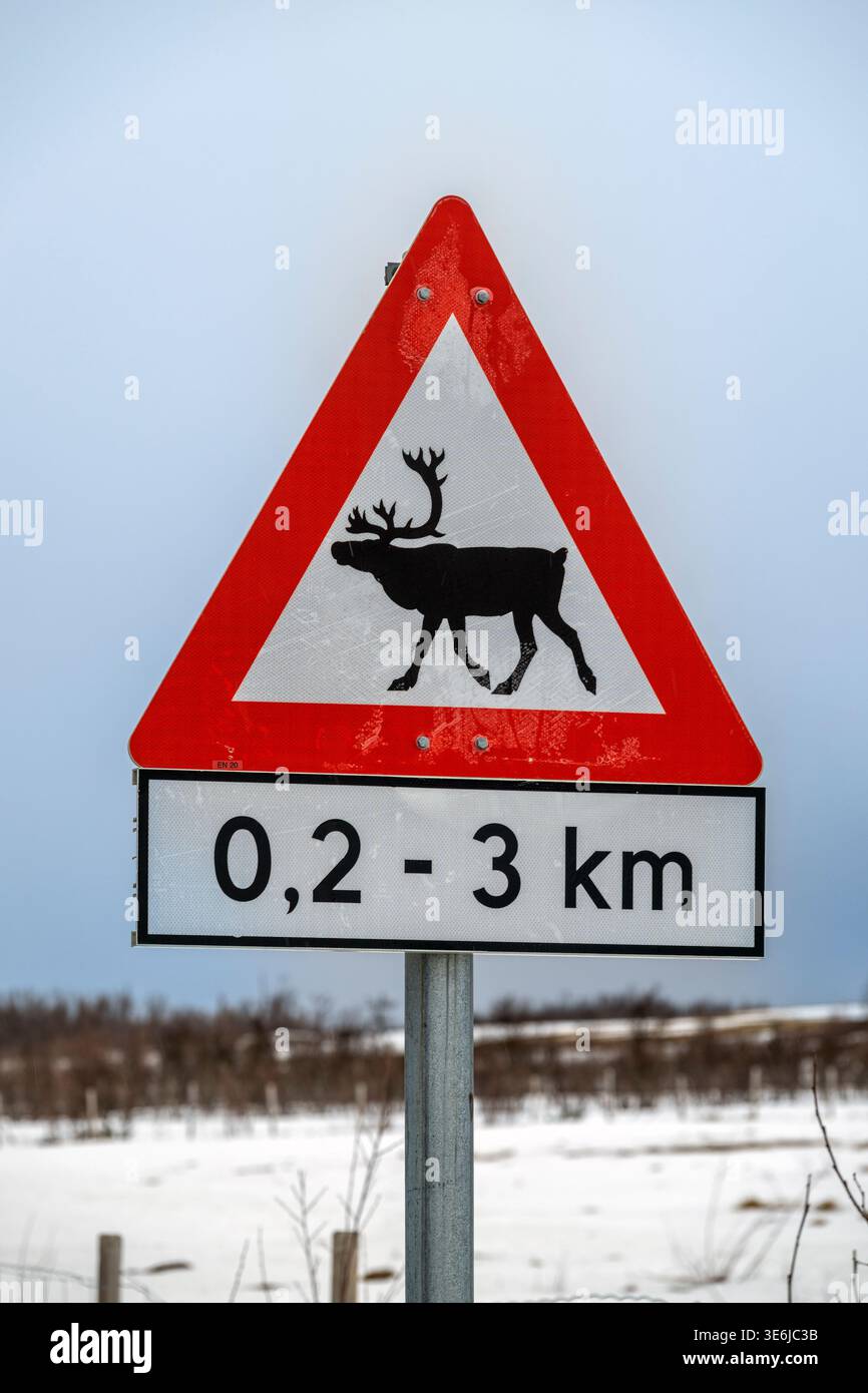 Panneau de signalisation routière pour rennes, Sommaroy, Troms, Norvège Banque D'Images