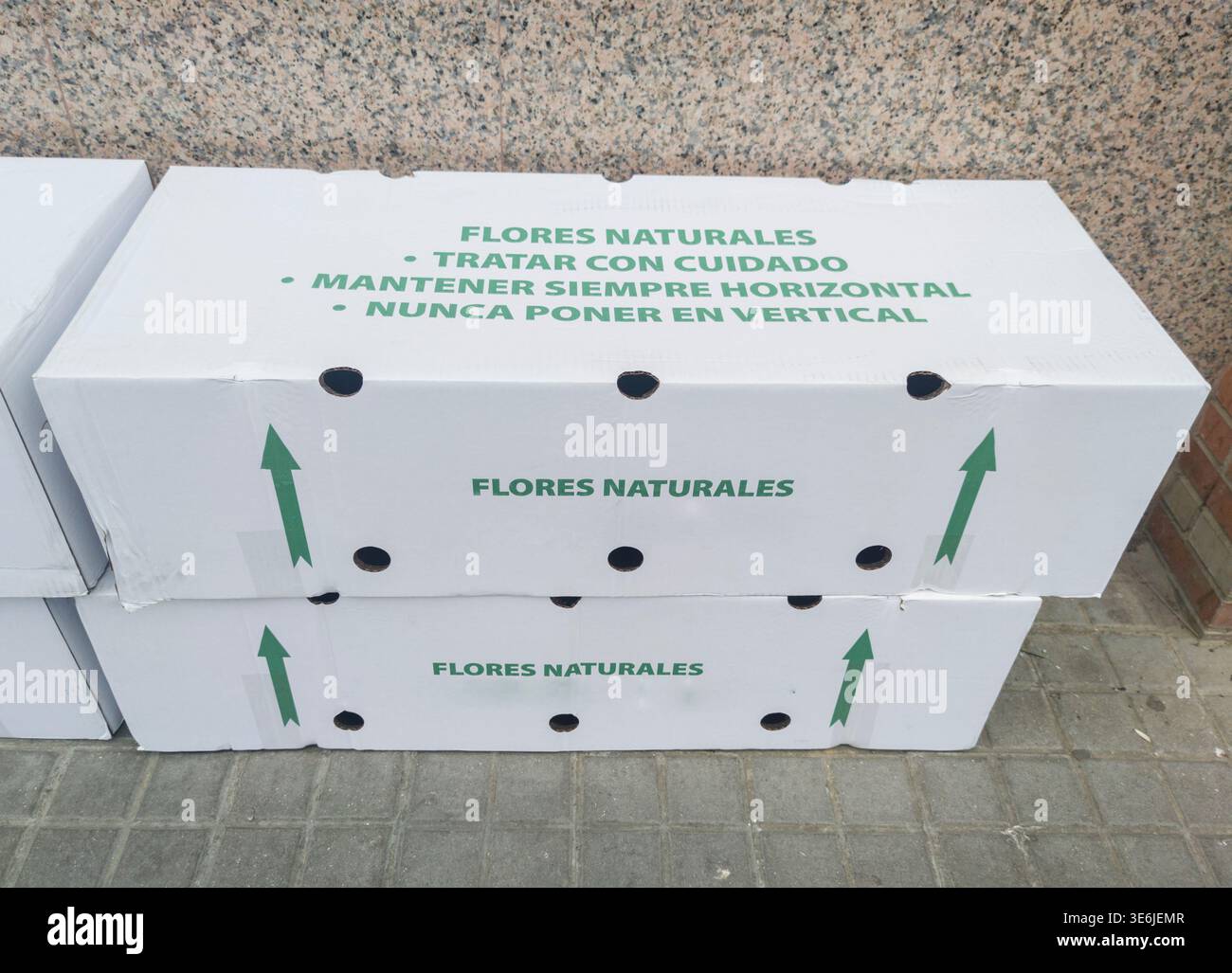 Emballage en carton spécial pour le transport de fleurs coupées fraîches. Instructions en espagnol. Banque D'Images