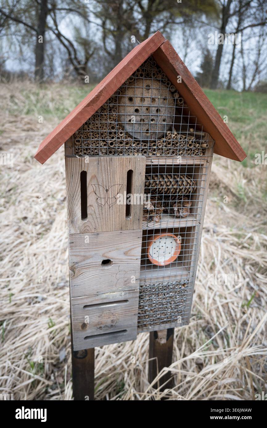 Une maison pour les insectes, un abri préparé pour l'hiver. Banque D'Images