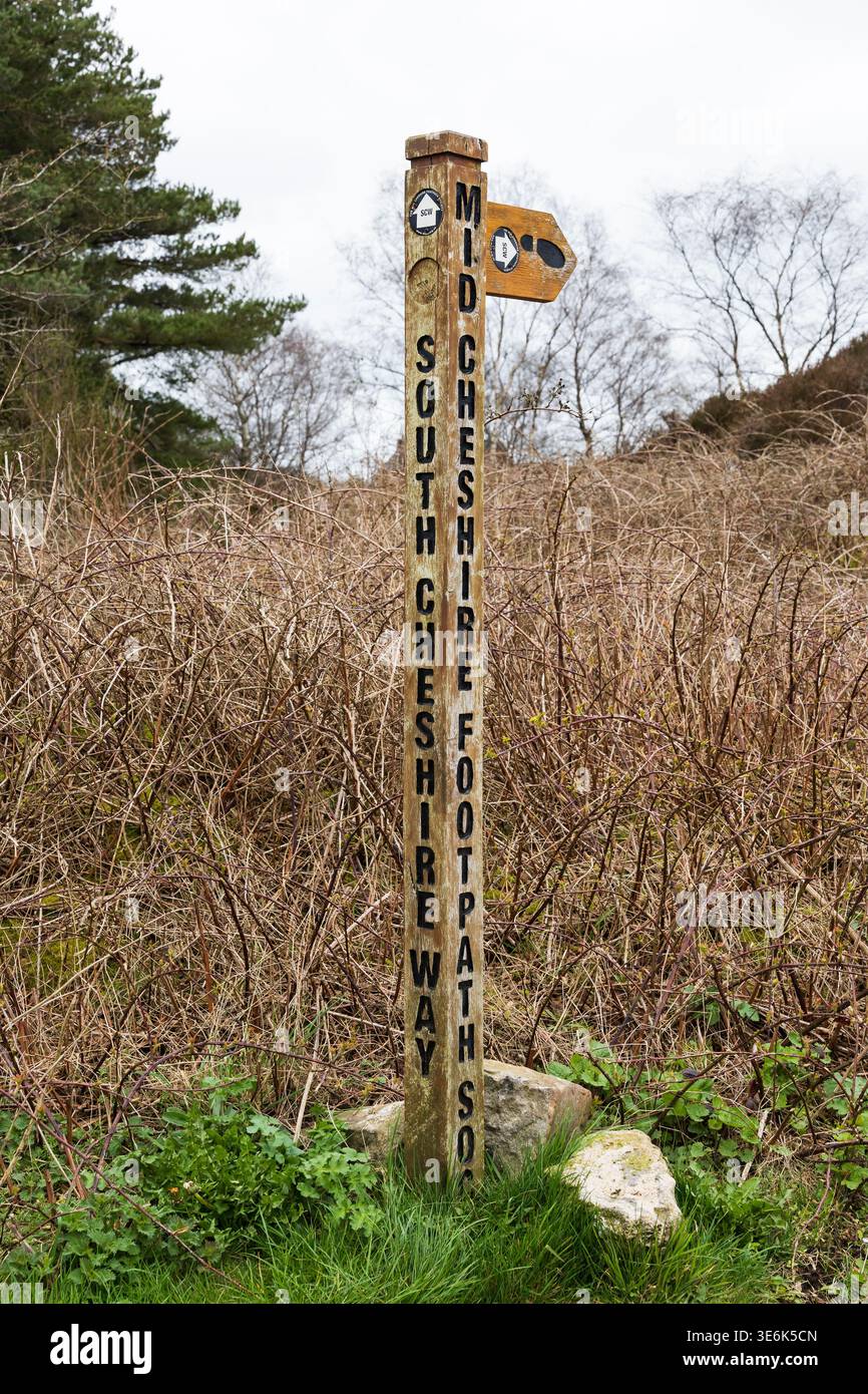 Panneau de signalisation en bois pour le South Cheshire Way érigé par le sentier Mid Cheshire Soc. Sur le site du château de Mow COP, Cheshire Staffordshire bord Banque D'Images