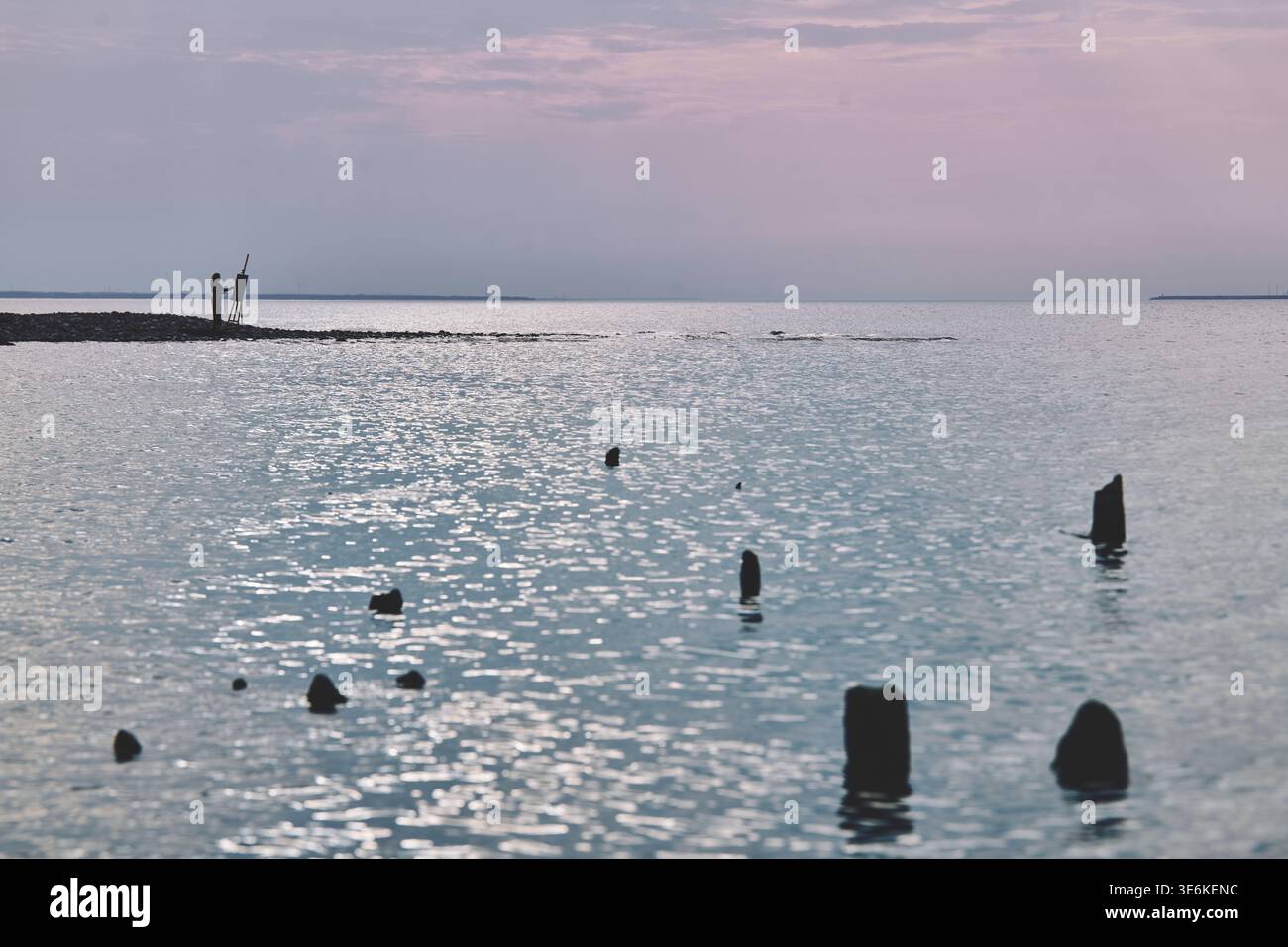 Figure solitaire se tient sur la pêche rocheuse tandis que les teintes roses douces du coucher de soleil se reflètent sur l'eau lisse parsemée de vieux poteaux en bois. Calme et serein scen côtier Banque D'Images