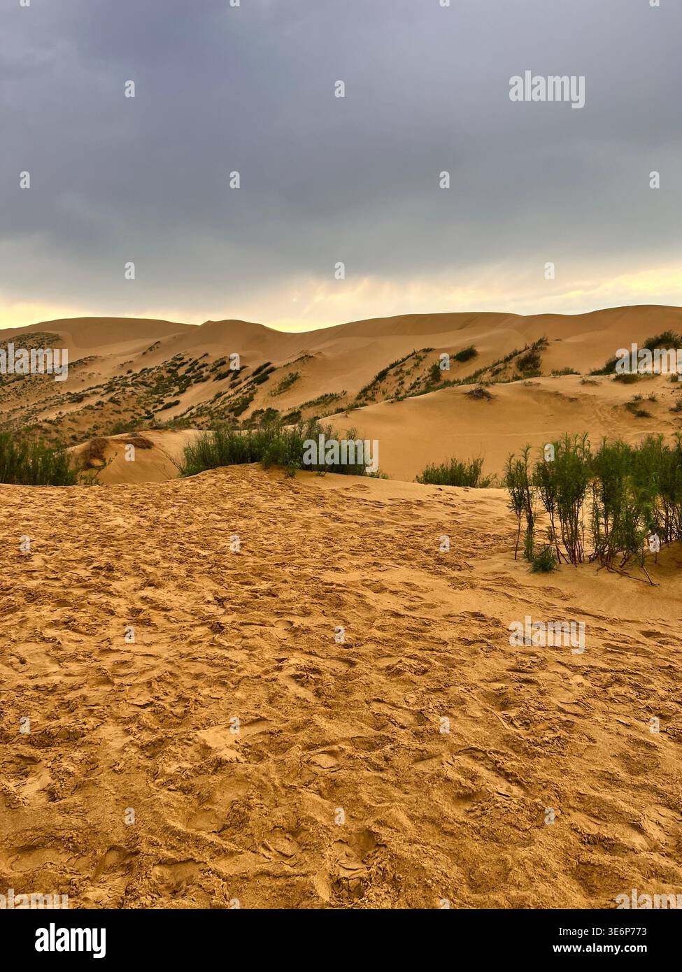 Dunes de sable à Sarykum au Daghestan, Russie, sous un ciel nocturne dramatique. - Image de stock capturée avec un smartphone