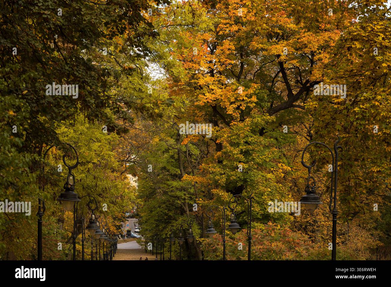 Une scène automnale sereine avec un chemin sinueux bordé de lampadaires noirs et entouré d'arbres affichant un feuillage jaune et vert vibrant und Banque D'Images