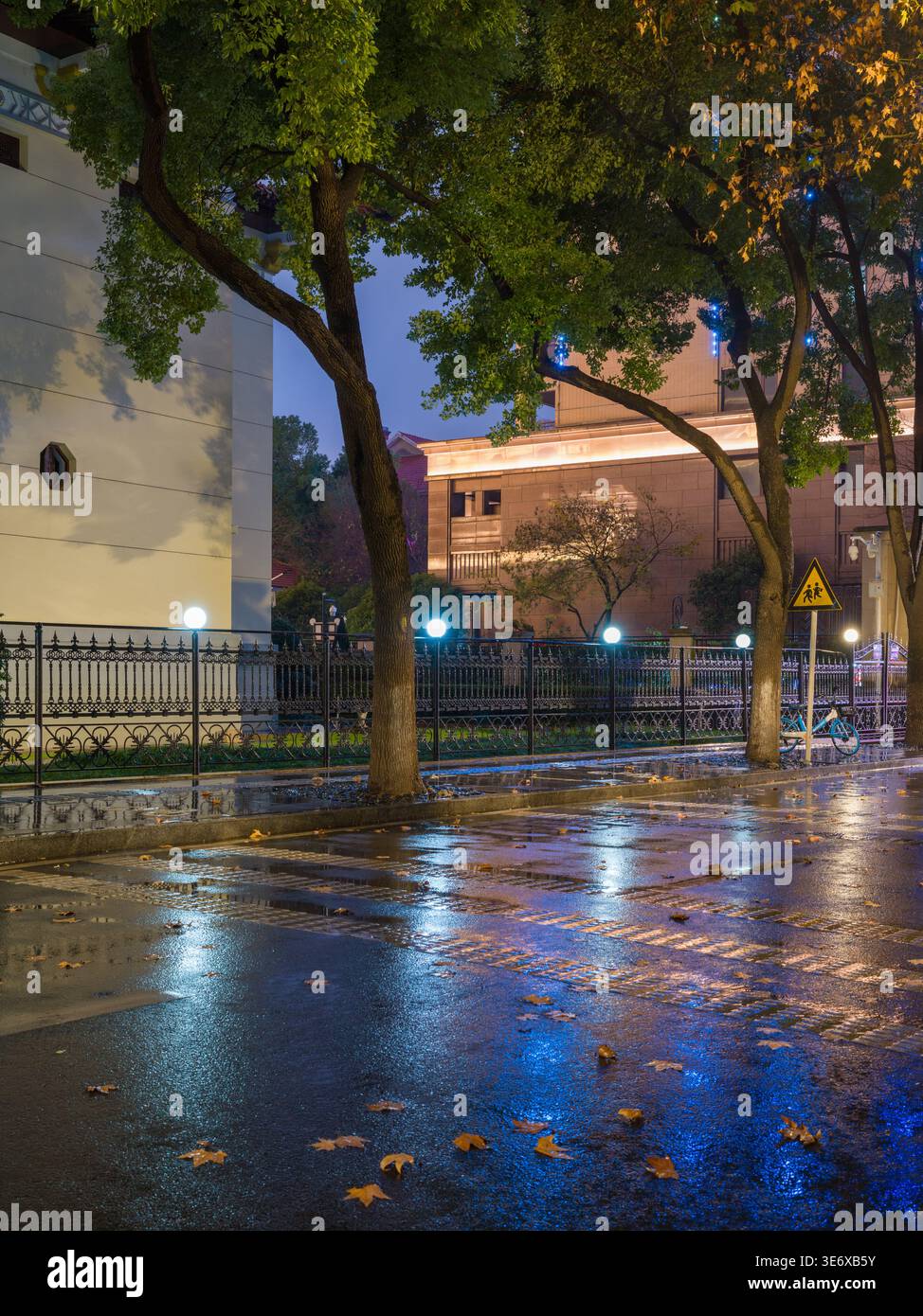 Rue pavée humide couverte de feuilles d'automne tombées reflétant les lumières bleues vives et jaunes chaudes de la ville la nuit. La scène représente Atmo d'automne Banque D'Images