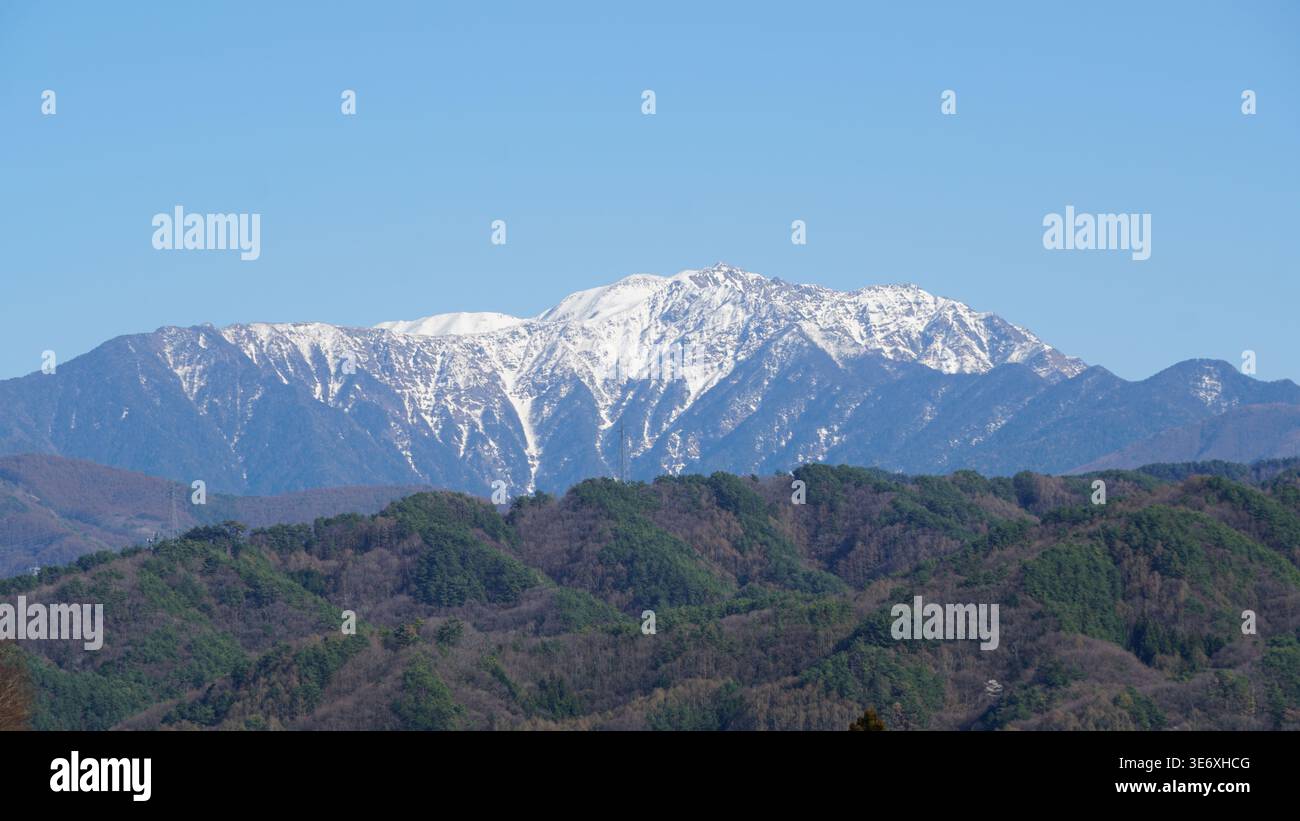 Nagano Spring Harmony : fleurs sous les Alpes majestueuses au Japon Banque D'Images