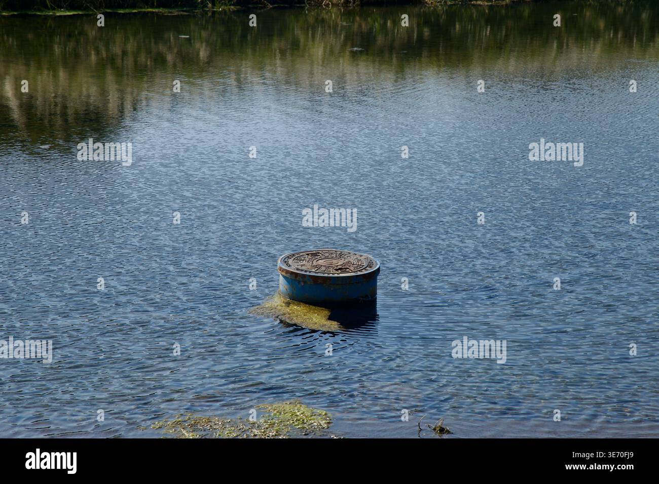 Une couverture utilitaire ronde dépasse de l'eau calme dans la rivière Taehwa à Eonyang-eup, entourée d'ondulations, de lumière réfléchie et de taches dérivantes d'al Banque D'Images
