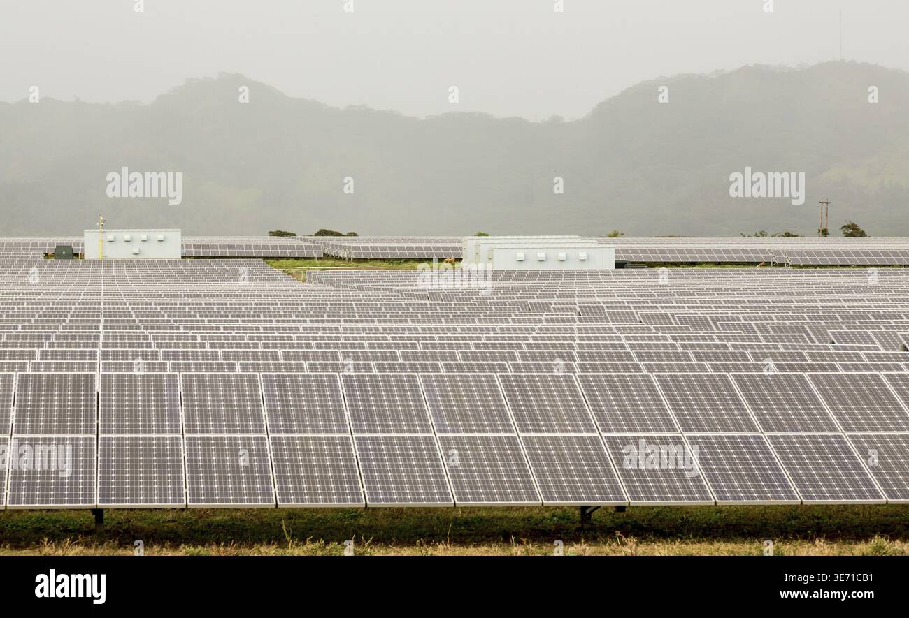 Des rangées de panneaux solaires en power station sur un jour nuageux et brumeux près de Koloa, Kauai, Hawaii Banque D'Images