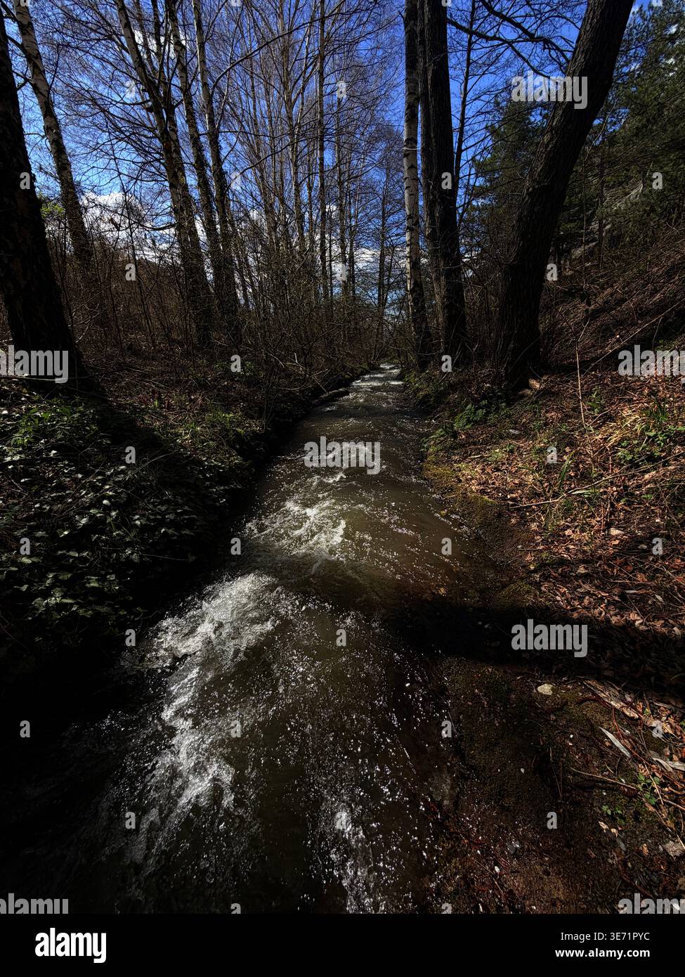 Le printemps arrive dans les montagnes des Balkans Banque D'Images