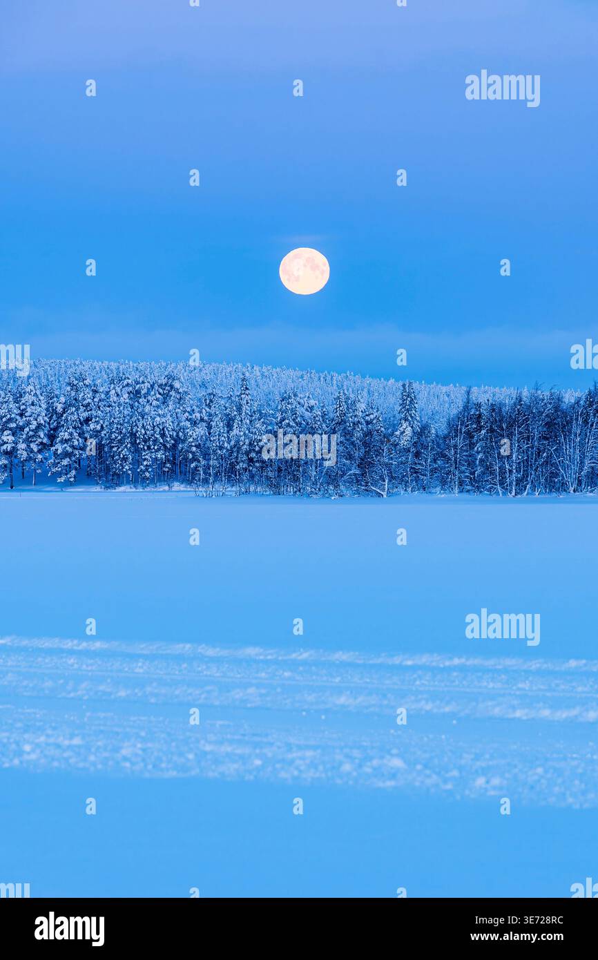 Paysage en hiver avec lune et forêt à Äkäslompolo, Finlande. Banque D'Images