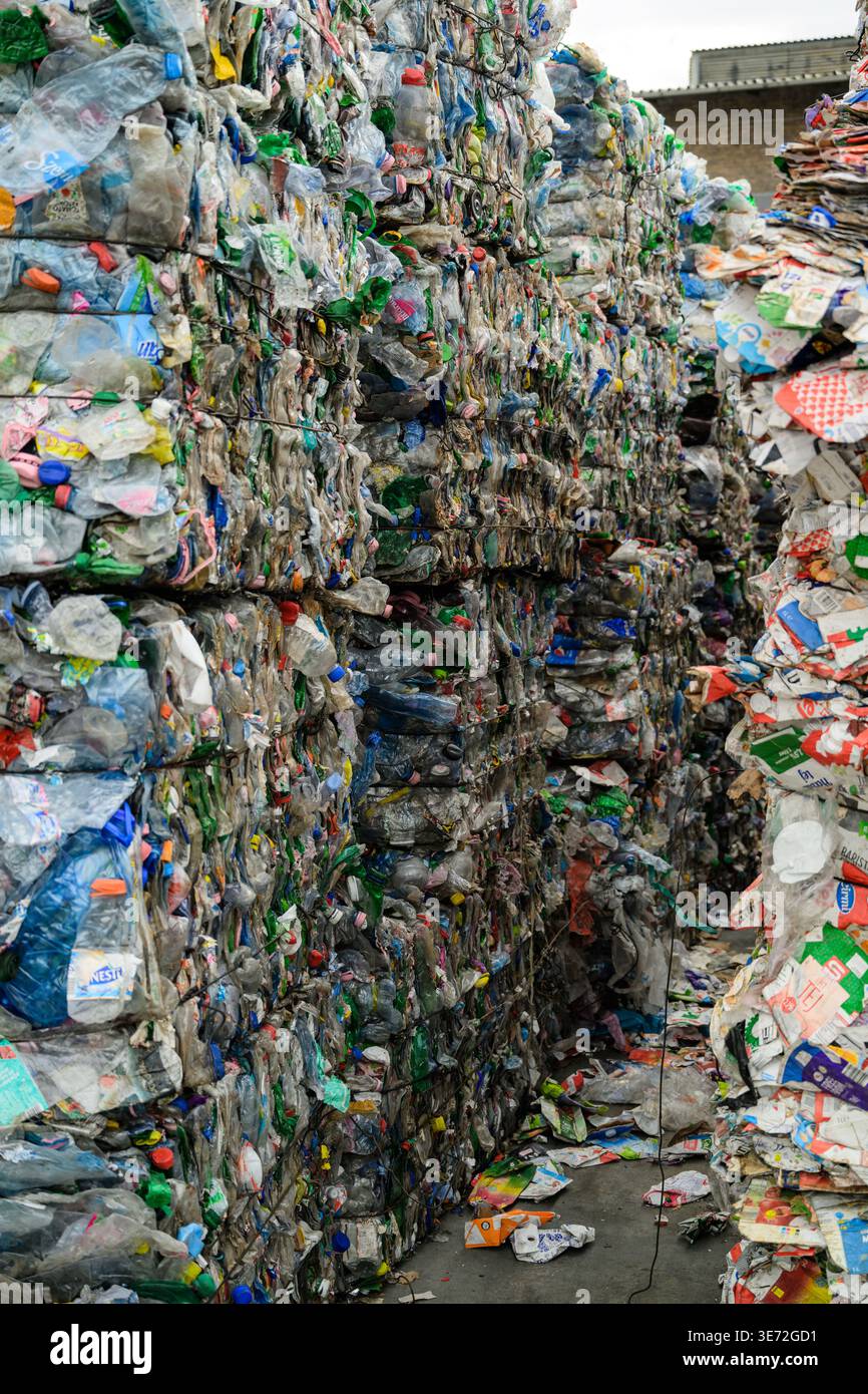 Balles massives de bouteilles et de conteneurs en plastique comprimé dans une installation de recyclage Banque D'Images