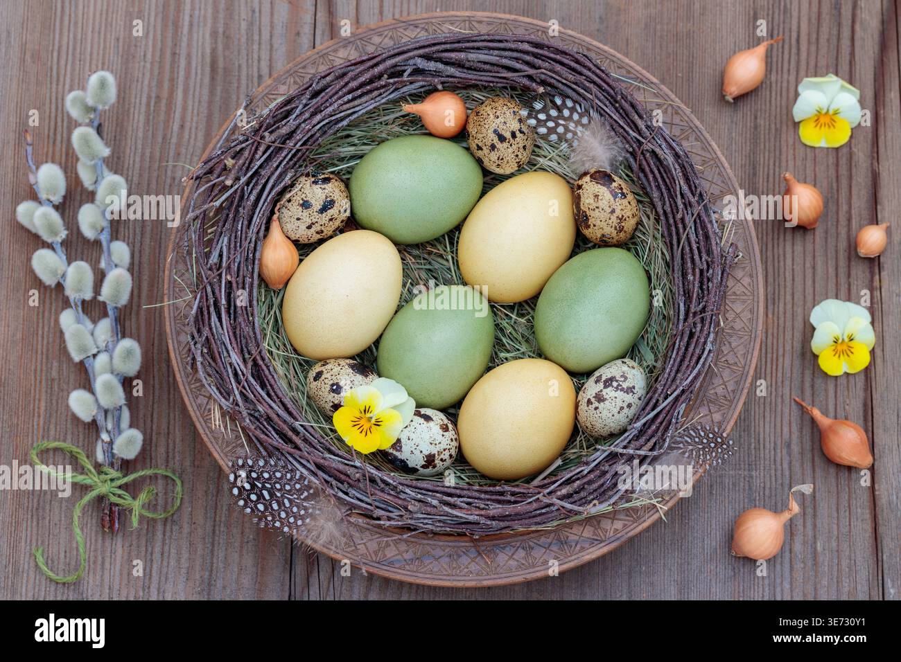 Oeufs de Pâques teints naturellement et oeufs de caille sur une assiette en bois Banque D'Images