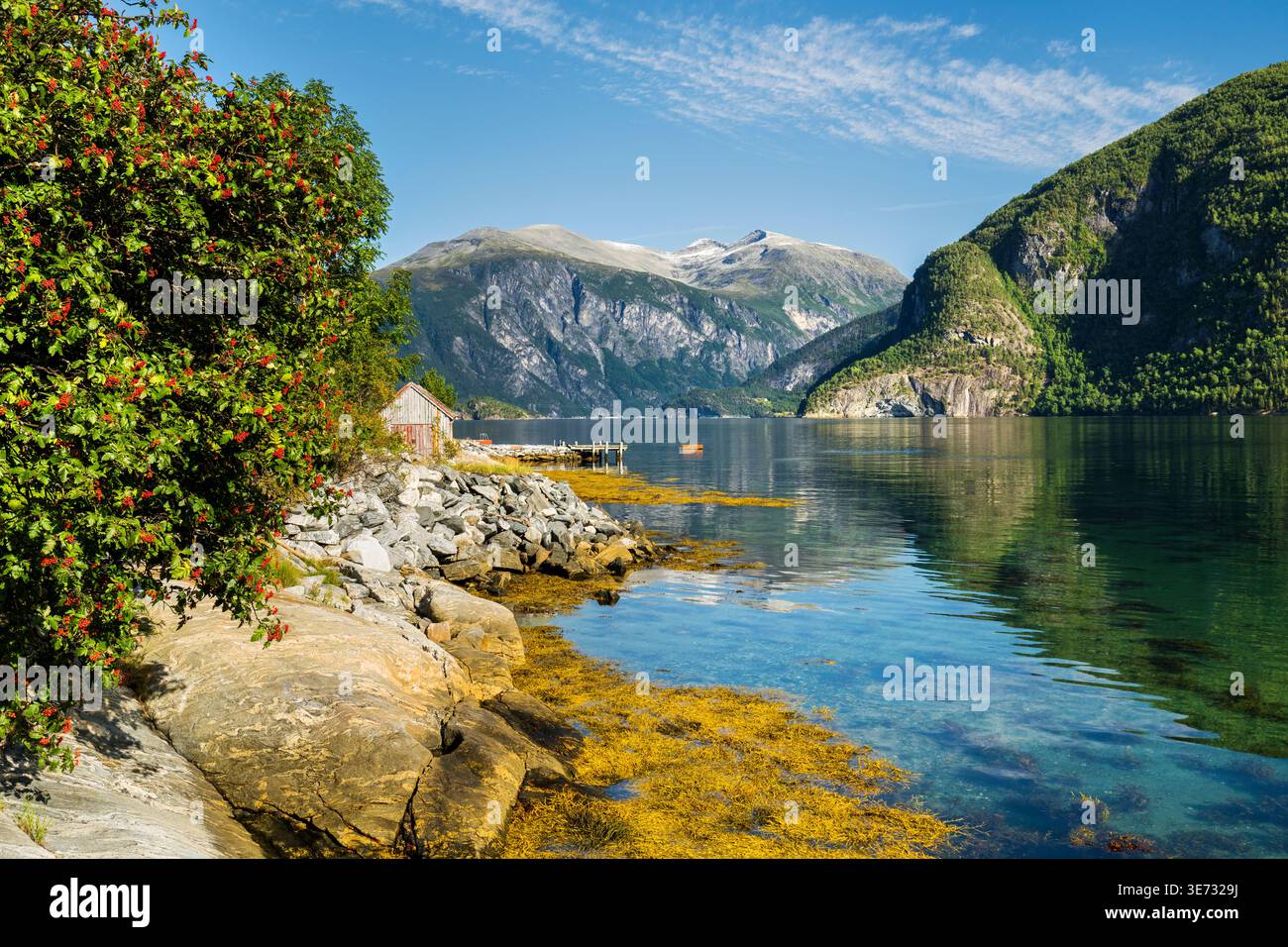 Norddalsfjorden, Eidsdal, more og Romsdal, Norvège Banque D'Images