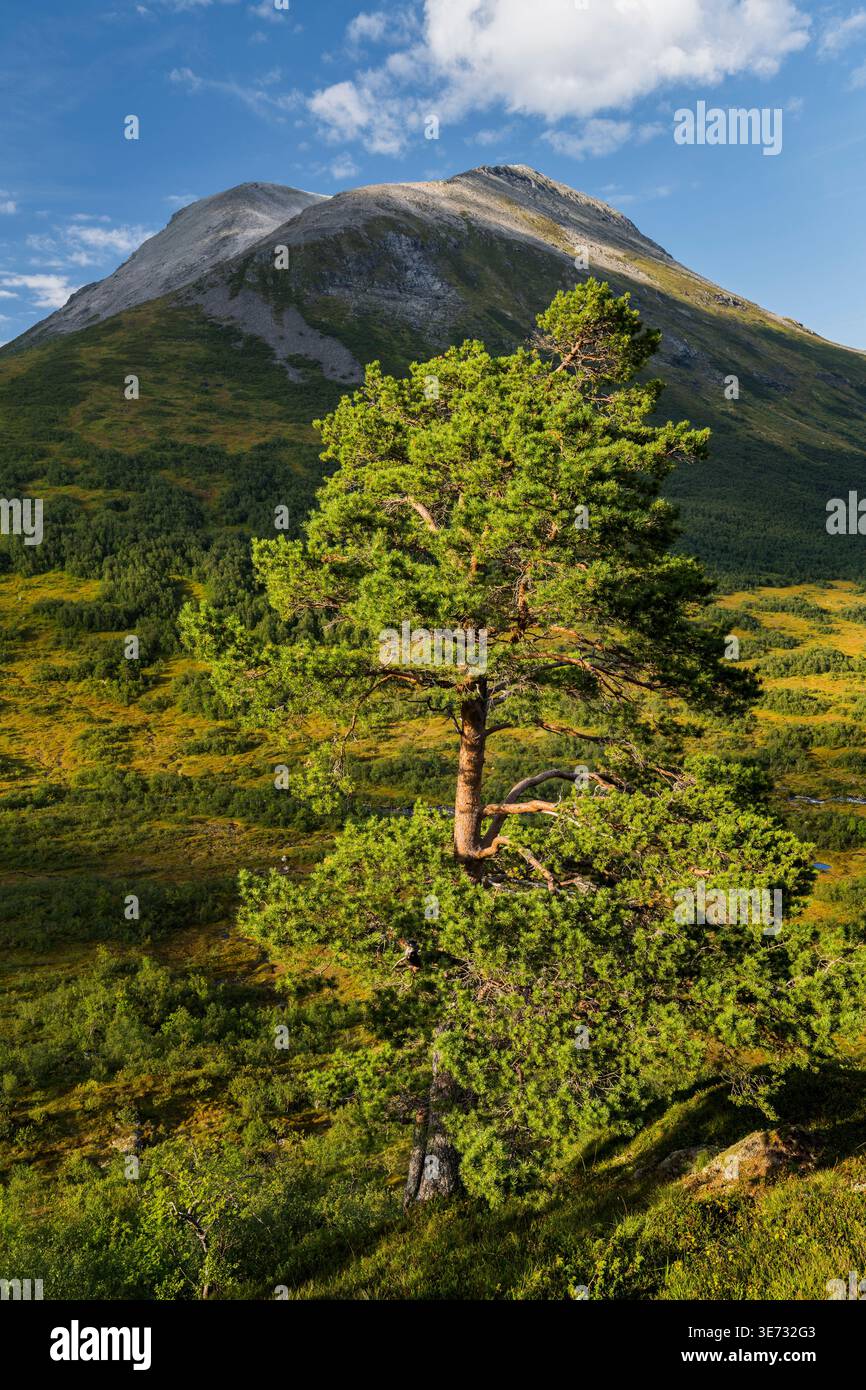 PIN, Boolen, more og Romsdal, Norvège Banque D'Images