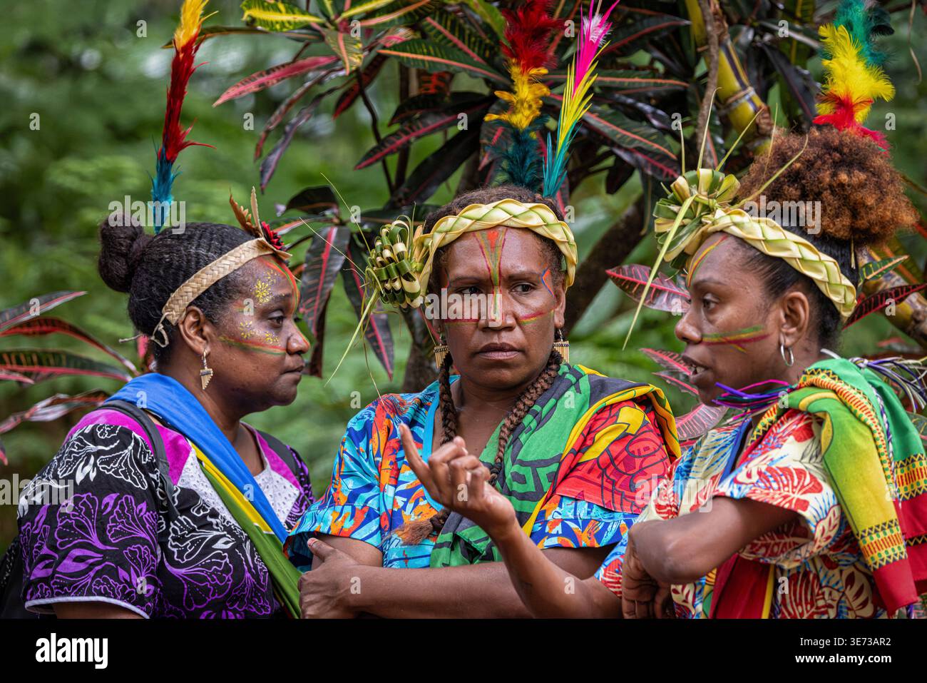 Fête de mariage lors d'un mariage traditionnel. Imayo, île de Tanna, Vanuatu. Banque D'Images