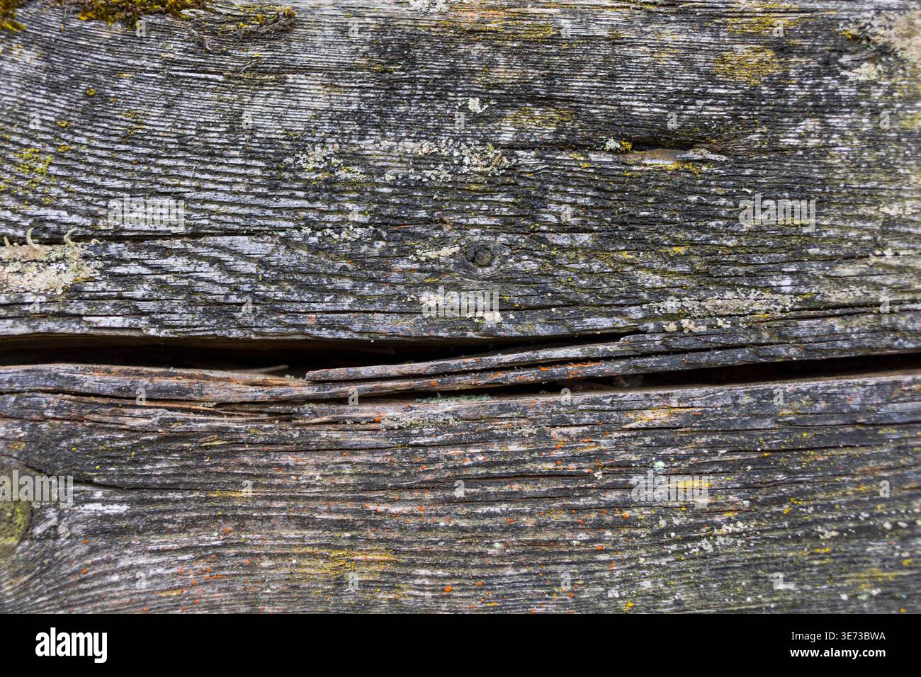 Gros plan de la surface en bois vieilli avec des fissures naturelles et un grain détaillé. Fond de texture rustique Banque D'Images