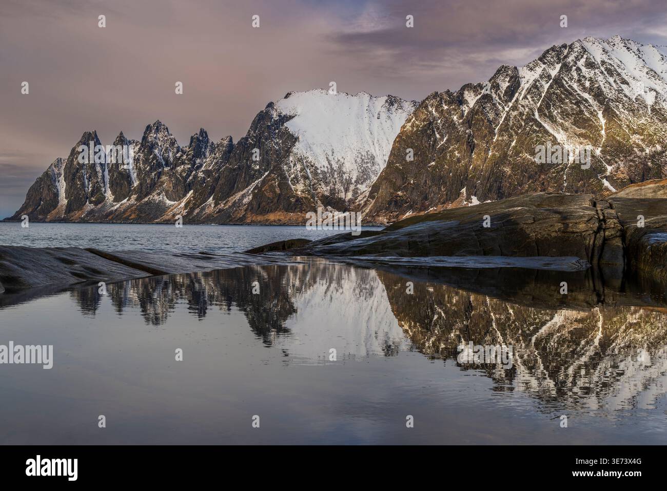Sommets de l'Okshornan vus de Tungeneset, Senya Island, Troms, Norvège Banque D'Images
