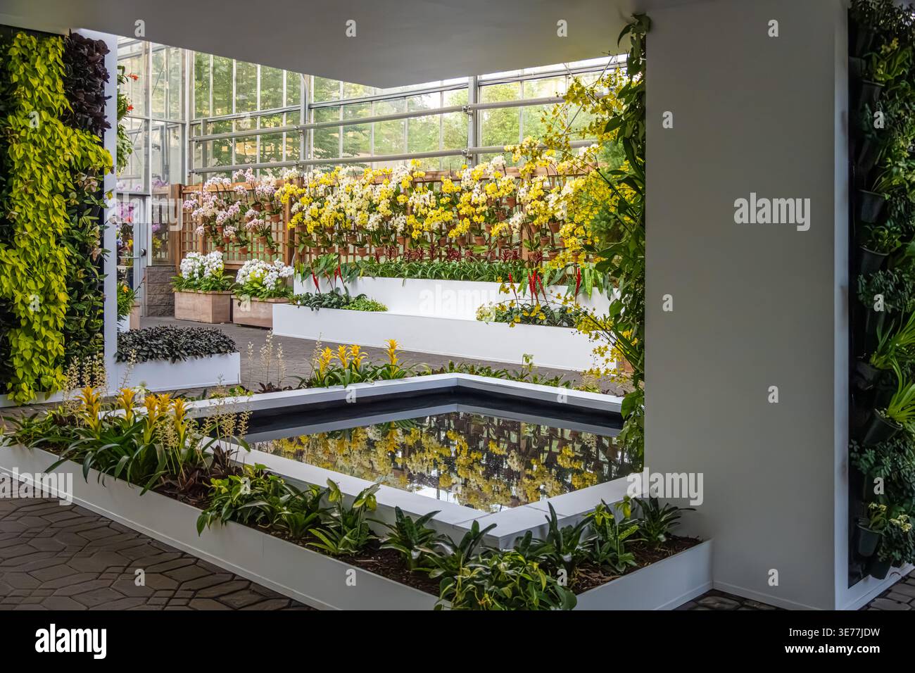 Exposition florale colorée au Fuqua Orchid Center du jardin botanique d'Atlanta à Midtown Atlanta, Géorgie. (ÉTATS-UNIS) Banque D'Images