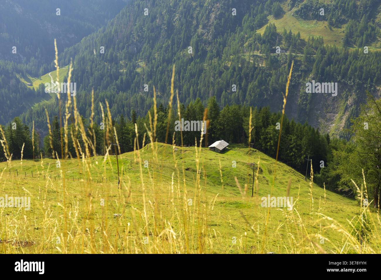 Vallée alpine pittoresque avec prairie verte et petite cabane dans les Alpes autrichiennes. Paysage naturel d'été. Banque D'Images