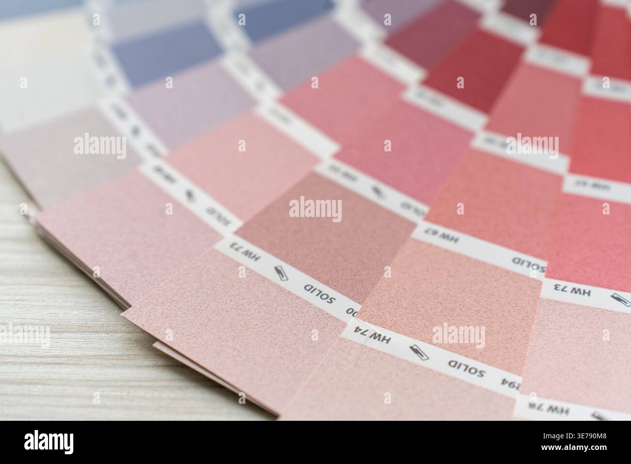 Une vue détaillée affiche une collection de nuances de couleurs, principalement avec des tons roses doux et rouges éclatants. Ces échantillons de peinture présentent une Banque D'Images