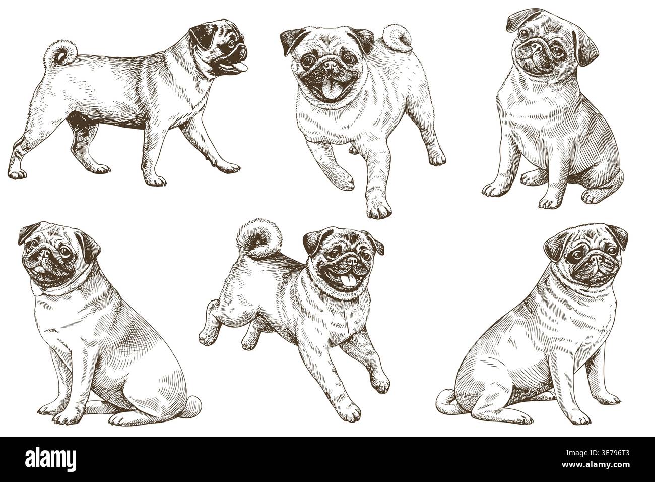 Six illustrations détaillées de carillons dans diverses poses, mettant en valeur leur nature ludique et leurs caractéristiques distinctes, y compris debout, assis et courir Illustration de Vecteur