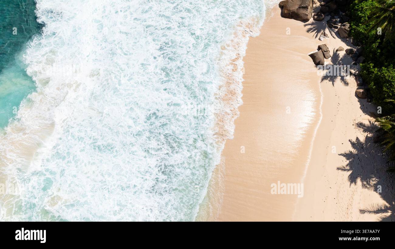 Vagues se brisant sur la côte sablonneuse avec des ombres de palmiers sur le rivage. Seychelles, Mahé. Banque D'Images
