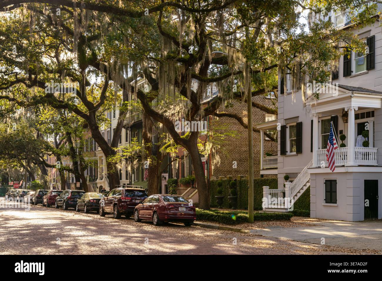 Savannah, États-Unis - 11 mars 2026 : rue idyllique de quartier avec chênes vivants et mousse espagnole au cœur de la Savannah historique Banque D'Images