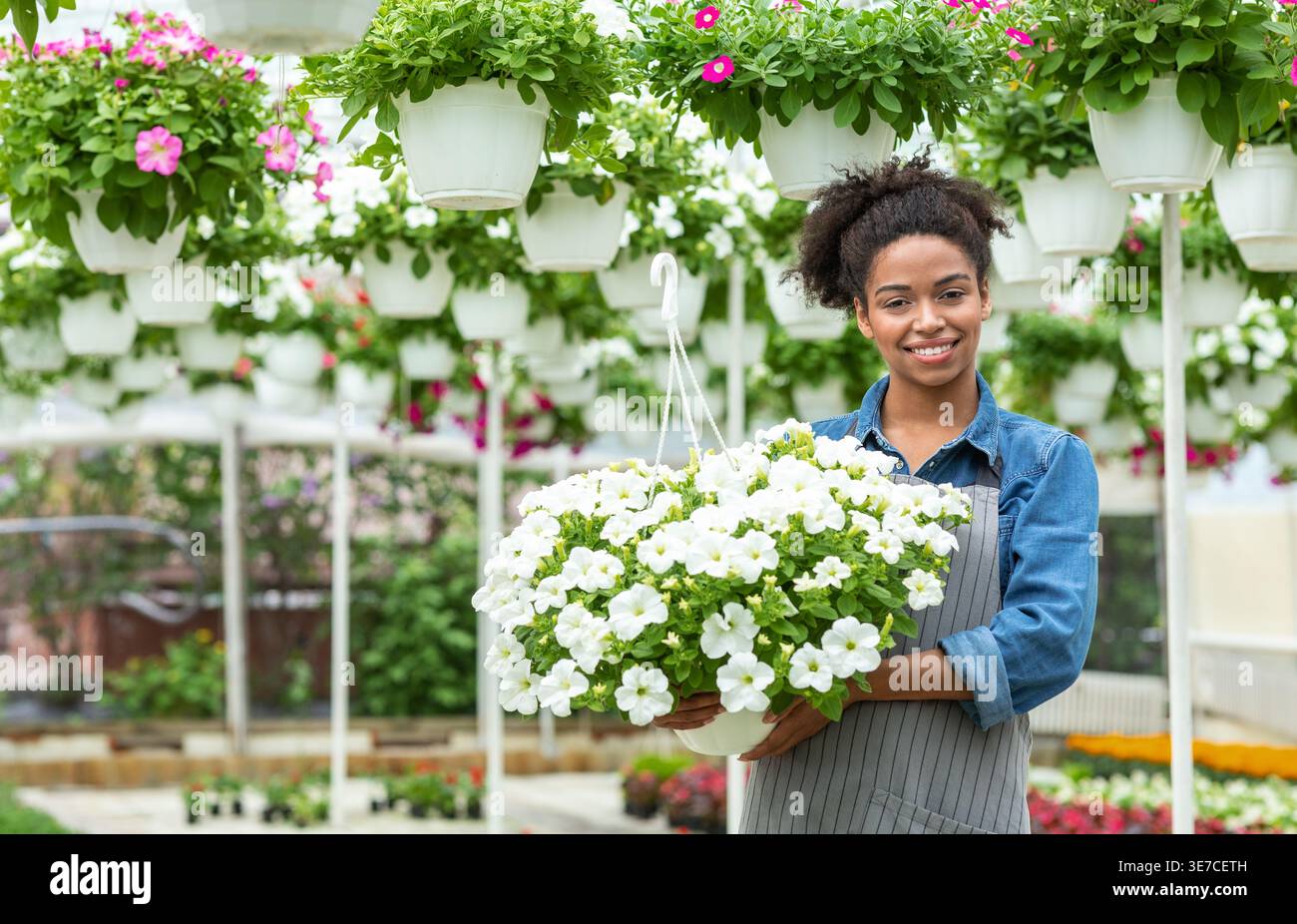 Femme noire souriante portant tablier tenant pot de fleurs tout en se tenant dans la serre Banque D'Images