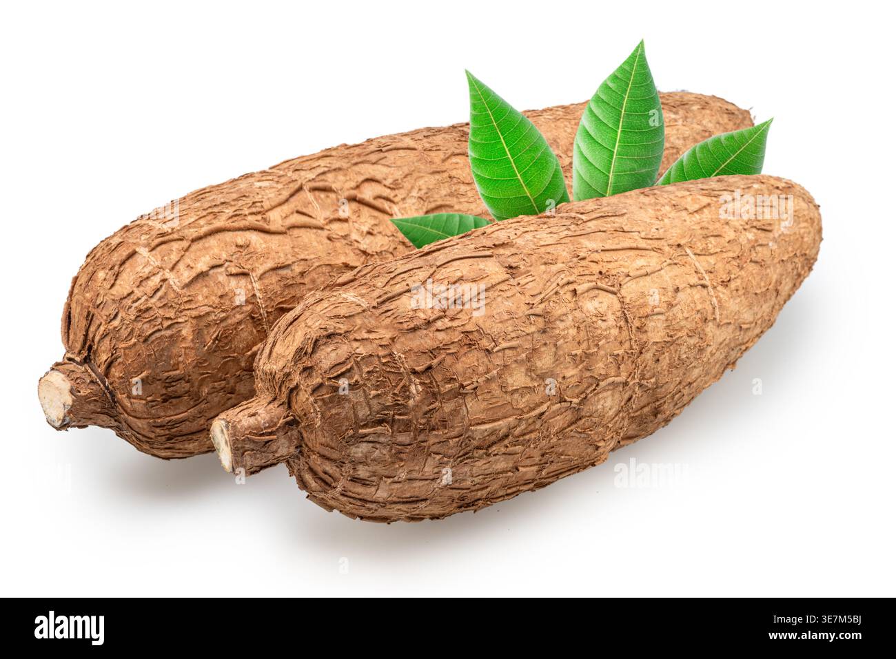 Racines fraîches de manioc (manioc) ou de tapioca avec des feuilles vertes isolées sur fond blanc. Masque. Banque D'Images