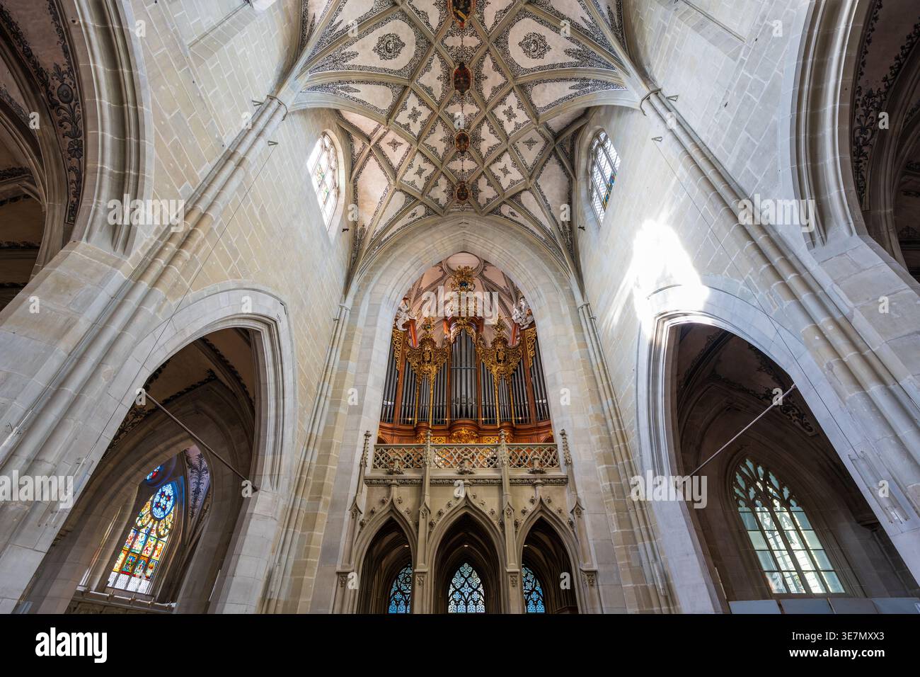 Vue sur l'intérieur du Berner Muenster, plafond voûté et orgue. Berne, Suisse. Banque D'Images