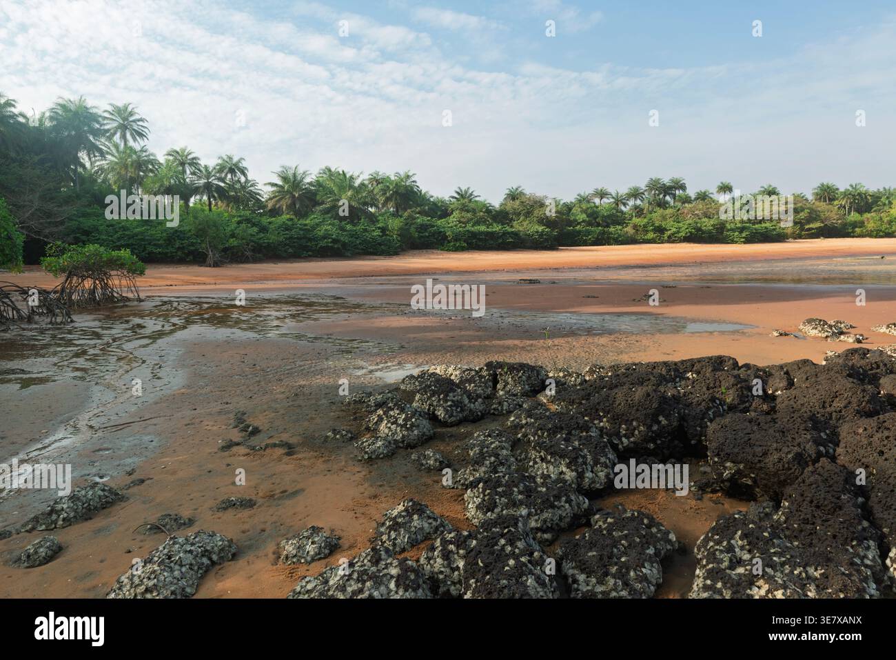Plage isolée de sable rouge bordée de forêt tropicale à marée basse sur l'île de Bubaque, archipel des Bijagos, Guinée Bissau. Banque D'Images