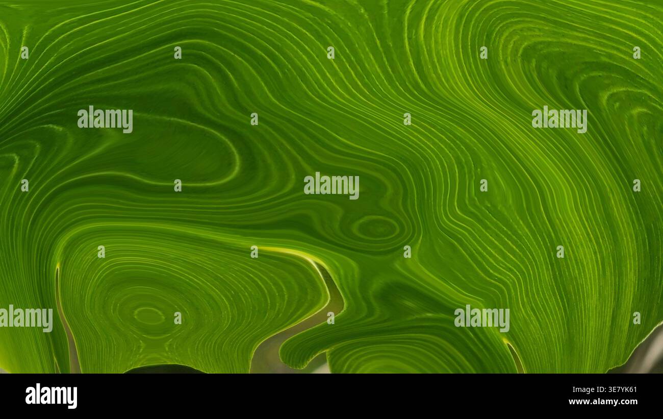 Texture liquide verte créant un flux abstrait et des lignes organiques Banque D'Images