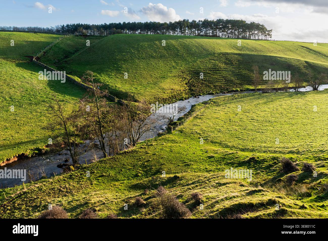 Un paysage pittoresque avec des collines verdoyantes traversées par un ruisseau doux et bordé par un mur de pierre traditionnel, baigné de doux sunlig Banque D'Images