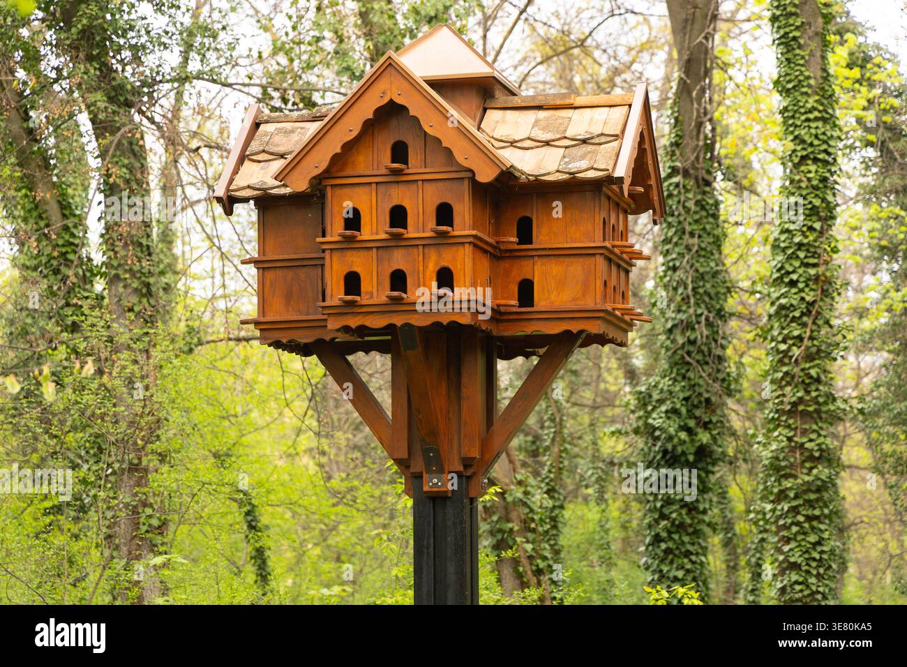 Grand manoir en bois Birdhouse Mansion Lush Forest Banque D'Images