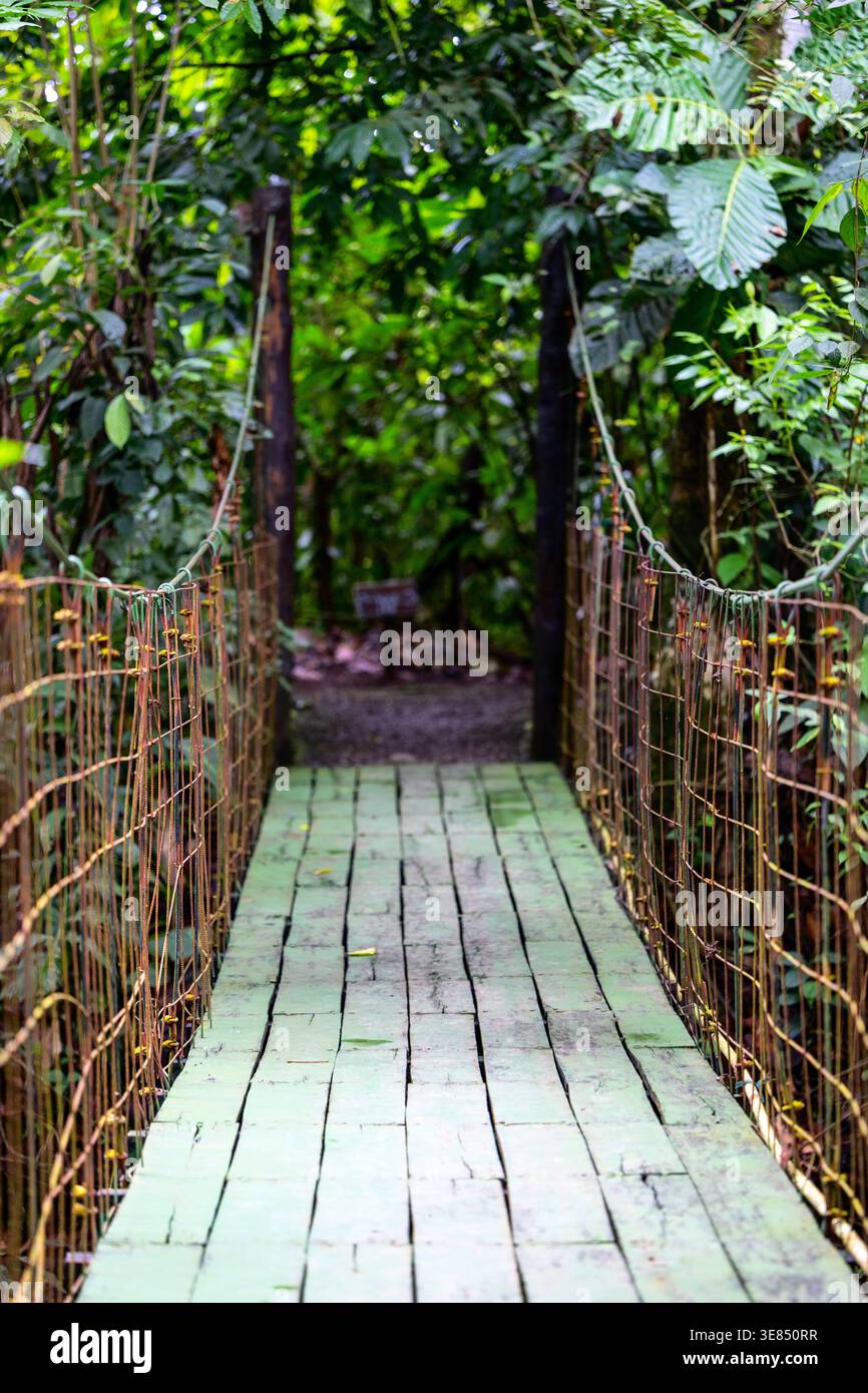 Chemin de pont suspendu en bois menant à la forêt tropicale luxuriante, balustrades rouillées, feuillage vert, concept de voyage d'aventure en plein air Banque D'Images