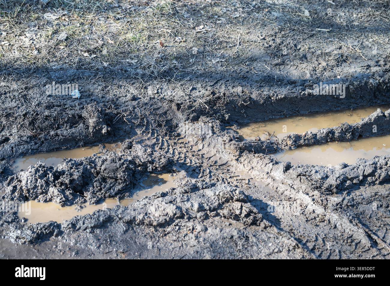 Traces profondes de pneus boueux avec des flaques d'eau sur le chemin de terre Banque D'Images
