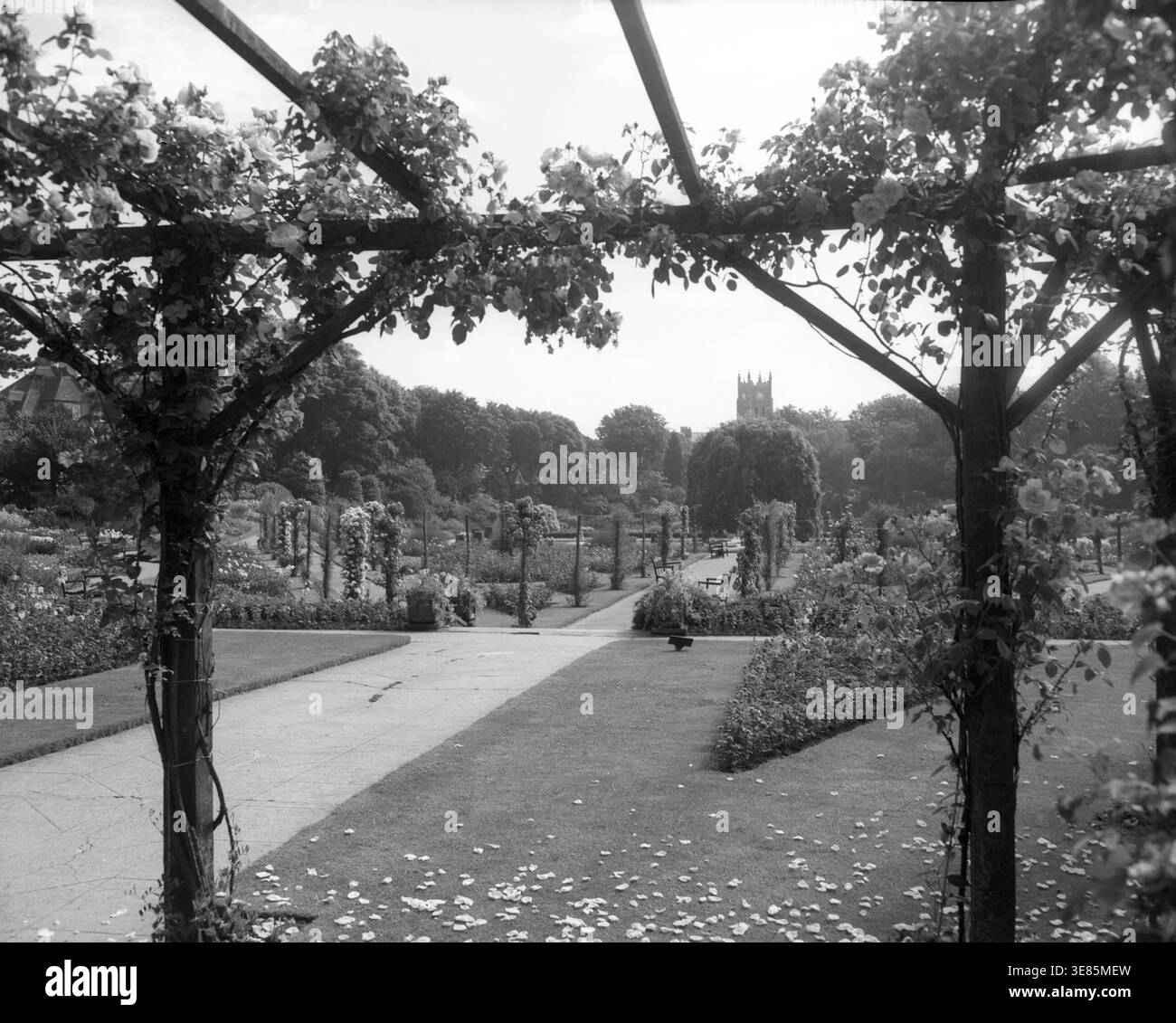 Kingsnorth Gardens, Folkestone, Kent, c1955. Les jardins, ouverts en 1928, disposent d'une roseraie avec des pergolas, des pelouses et des étangs ainsi que des parterres de fleurs formelles et des chemins ombragés. Il comprend des styles de jardinage italiens et orientaux. Banque D'Images