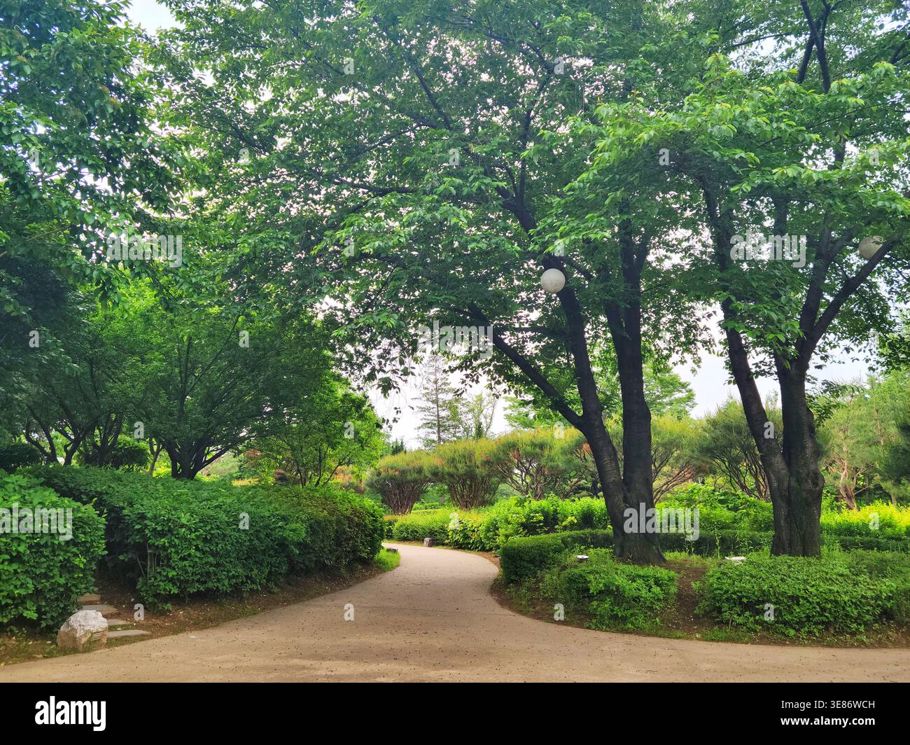 Un sentier de randonnée paisible dans un parc de la ville entouré d'arbres verts et de feuillage, parfait pour une promenade relaxante. Banque D'Images