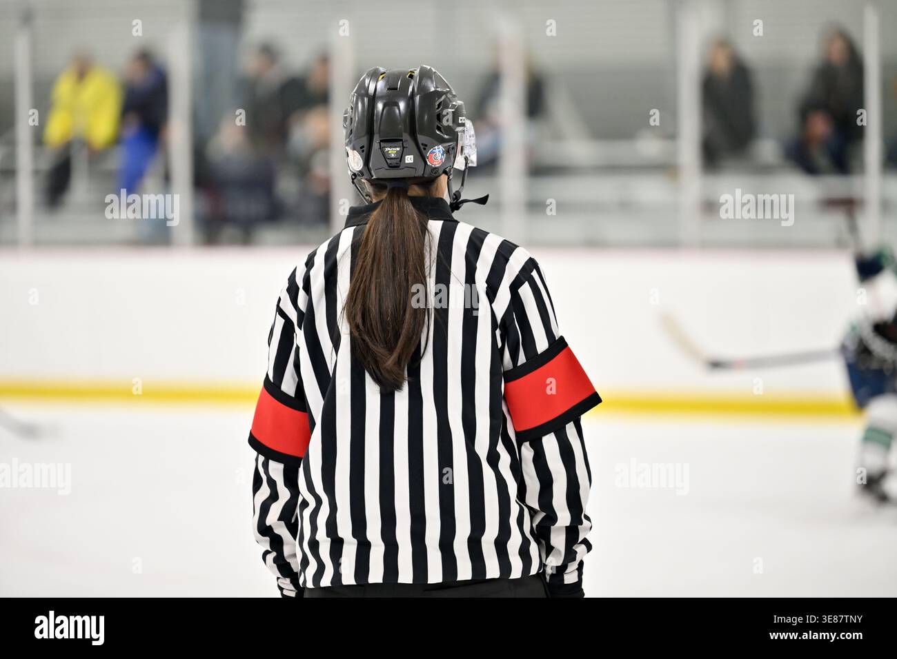 Arbitre canadienne de hockey sur glace vue de derrière portant un uniforme rayé et des brassards orange sur la patinoire, avec des joueurs et des spectateurs flous. Banque D'Images