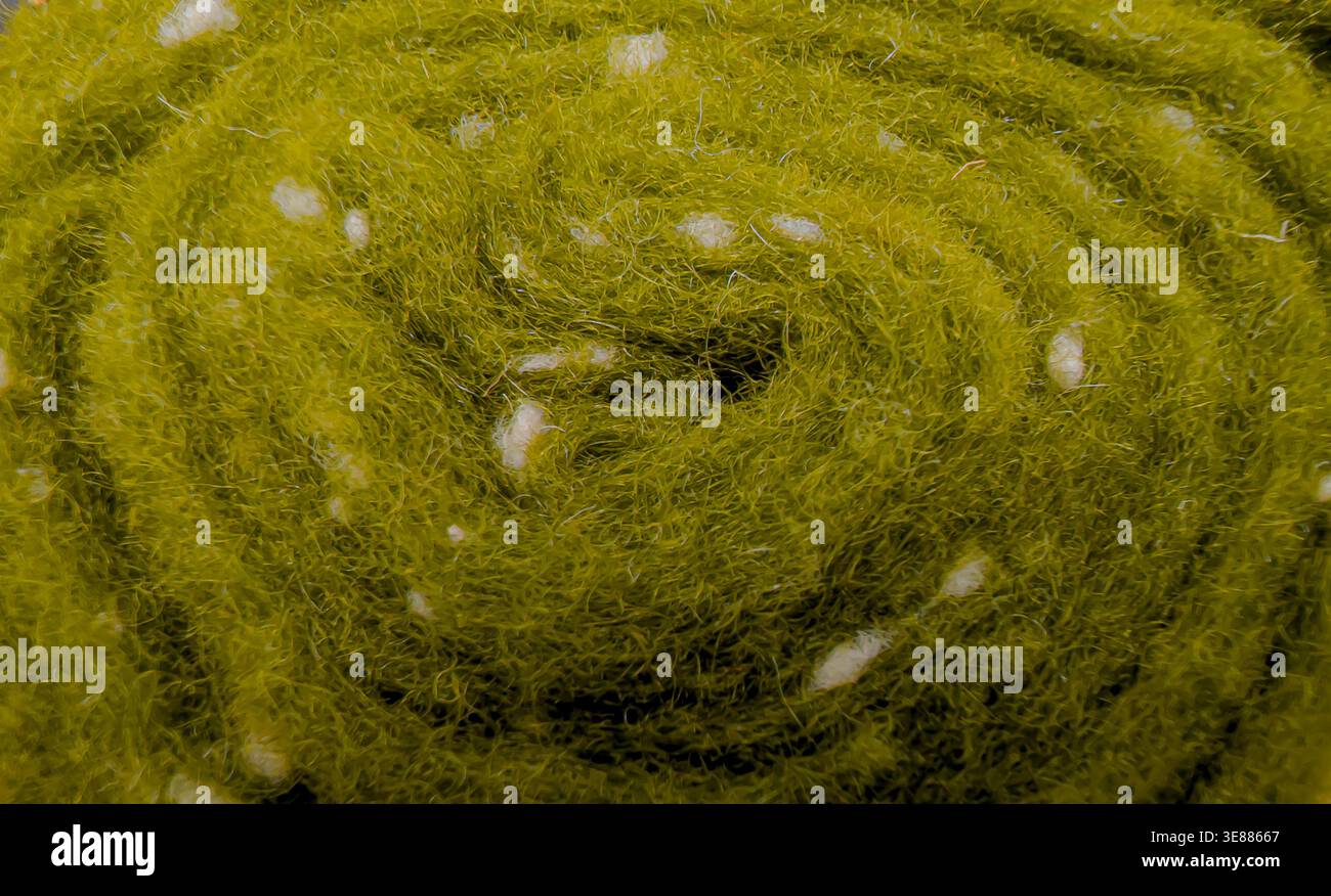 Texture de laine de mouton vert olive avec des fibres blanches, fond macro Banque D'Images