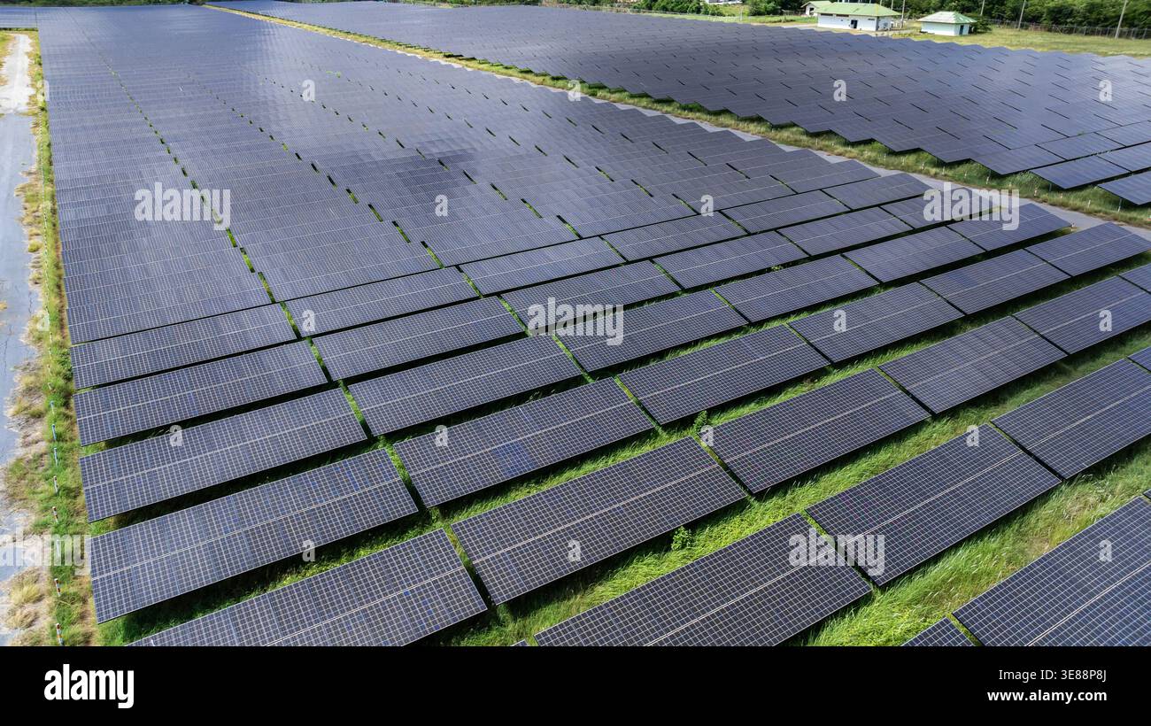 Rangées de panneaux solaires photovoltaïques utilitaires dans un champ herbeux présentant une infrastructure d'énergie renouvelable et une génératio d'énergie durable industrielle Banque D'Images