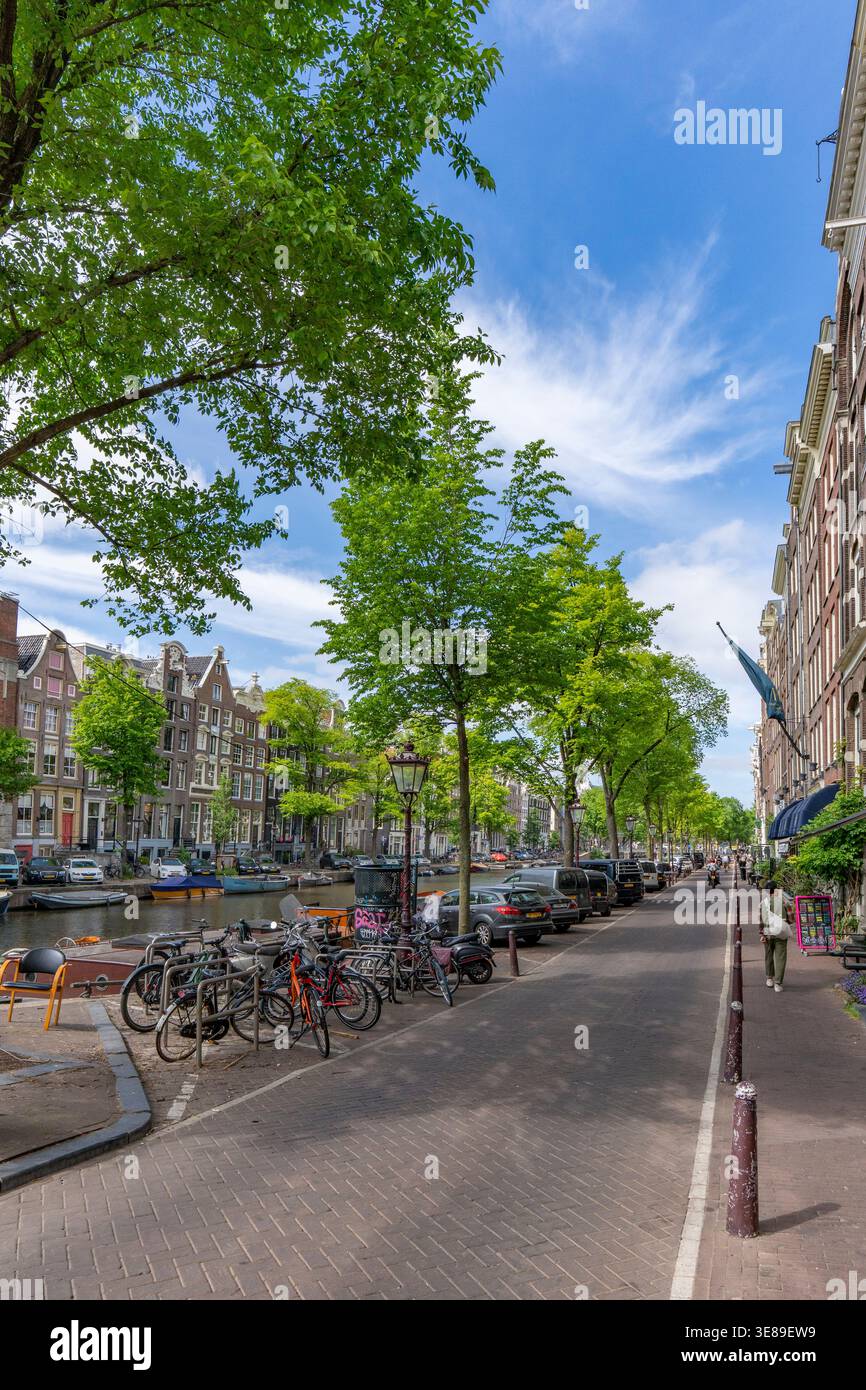 Vue urbaine pittoresque de Singel Street à Amsterdam Banque D'Images