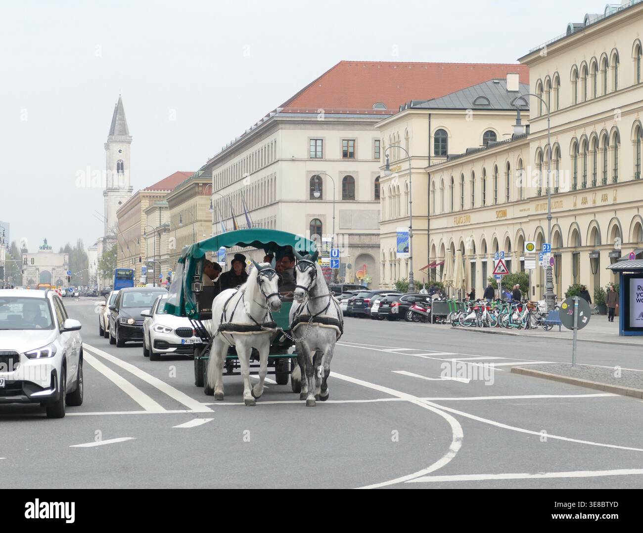 Trafic tiré par des chevaux à Munich. Une calèche à deux chevaux avec des chevaux gris pomme sur la Ludwigstrasse transportant des touristes à travers le centre-ville. Banque D'Images