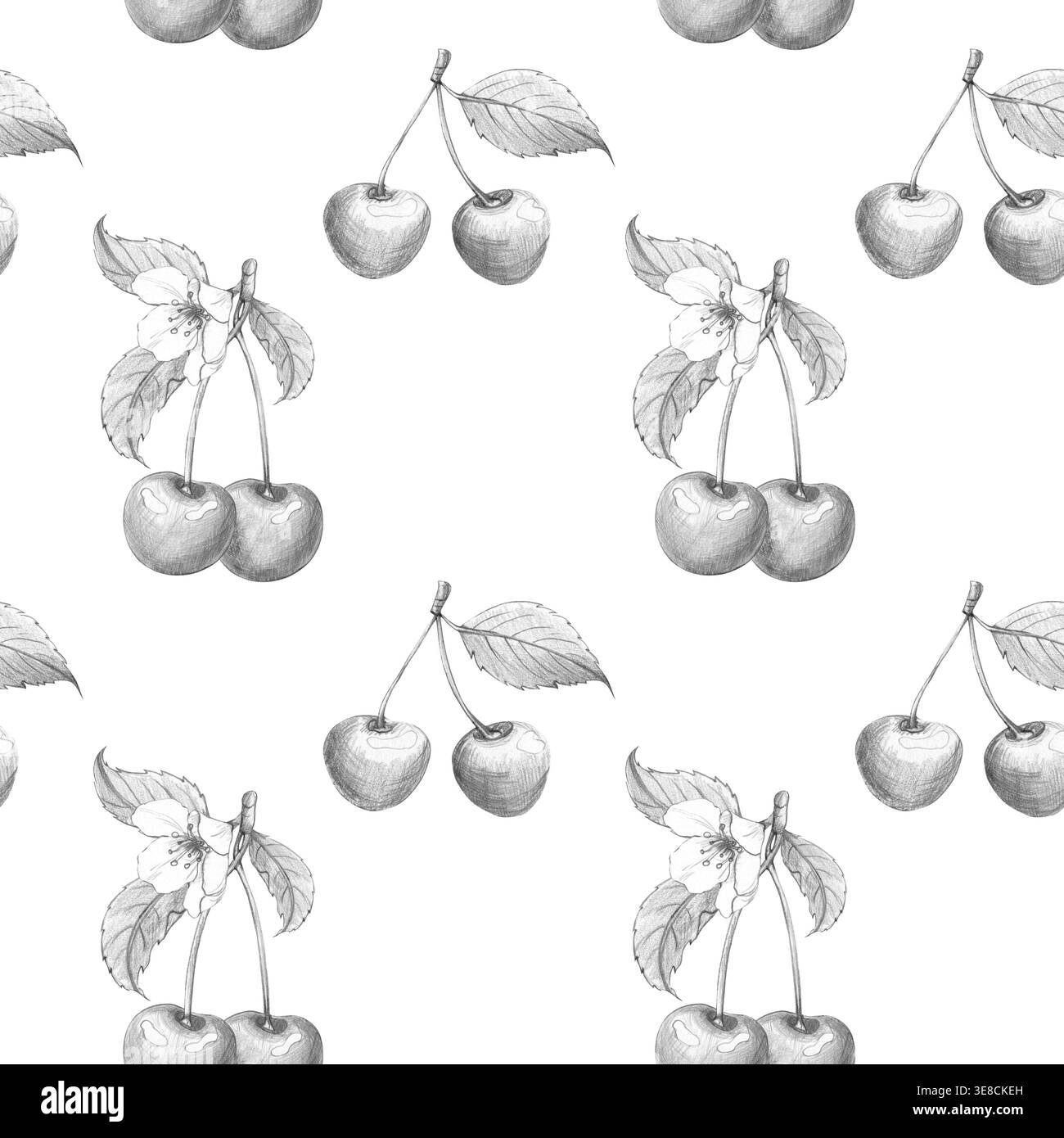 Modèle sans couture avec croquis au crayon dessinés à la main de cerises fraîches sur des branches avec des feuilles et des fleurs, idéal pour la marque rustique de verger et la conception d'emballages alimentaires biologiques. Fond blanc. Banque D'Images