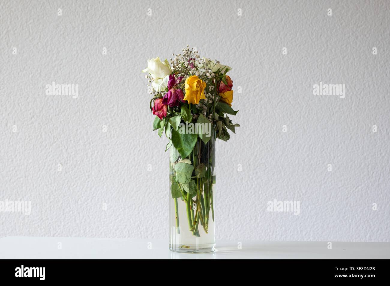 Bouquet de roses flétrissantes colorées et souffle de bébé dans un grand vase en verre contre un mur blanc Banque D'Images