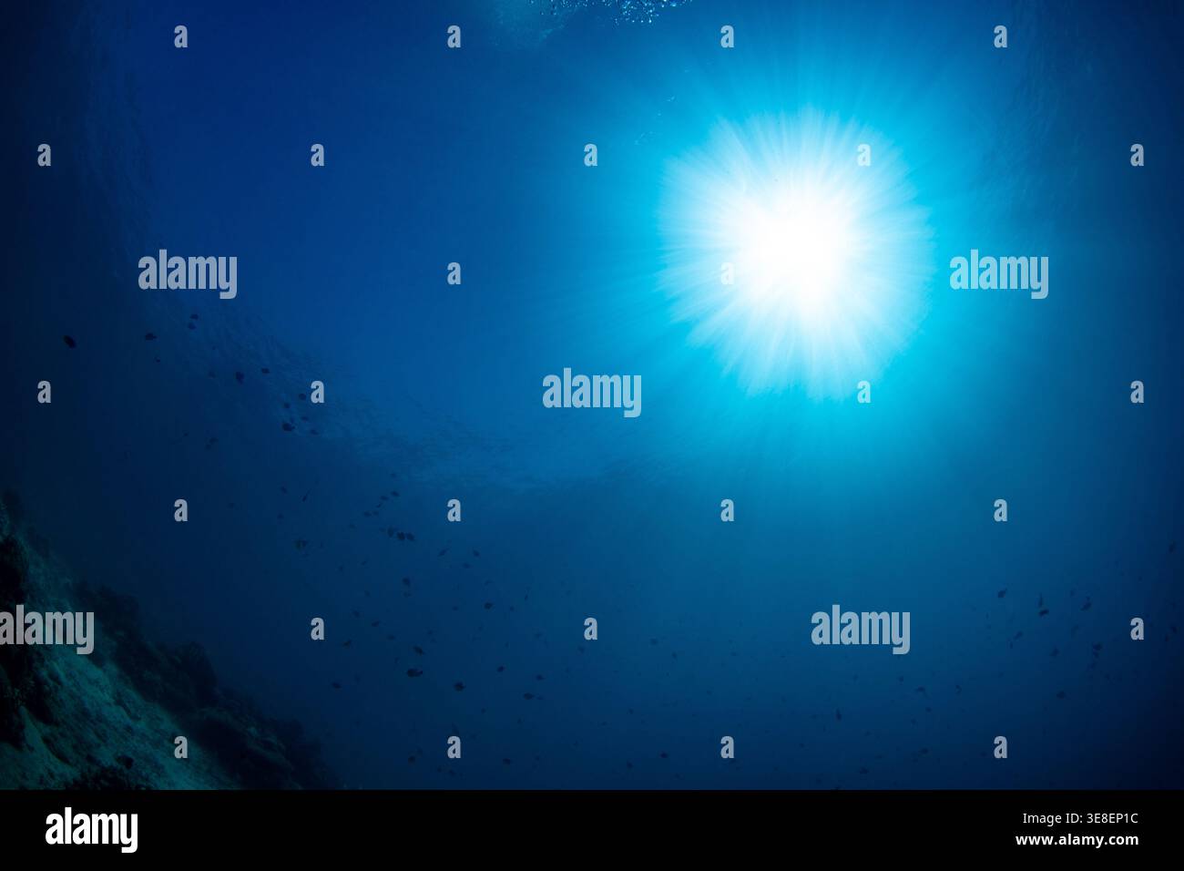 on dirait le soleil sous l'eau Banque D'Images