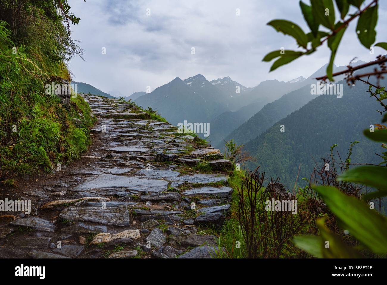 L'image représente un chemin de pierre sinueux menant au temple Madmaheshwar dans les montagnes de l'Uttarakhand, en Inde. Le sentier est entouré de luxuriants Banque D'Images
