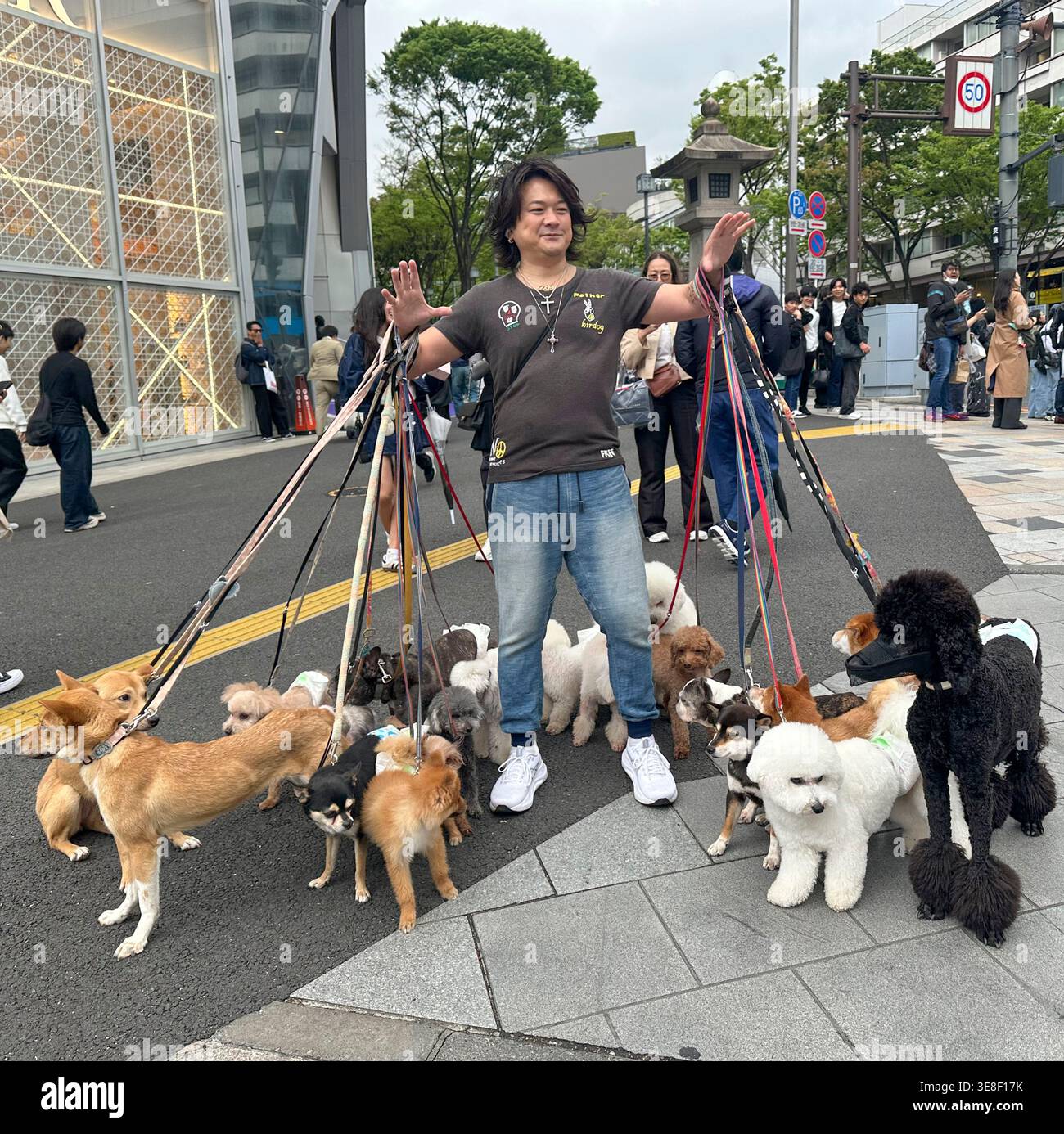 DOG WALKER À TOKYO Banque D'Images