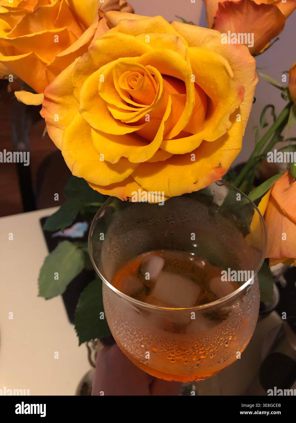 Spritz et Orange Roses Banque D'Images