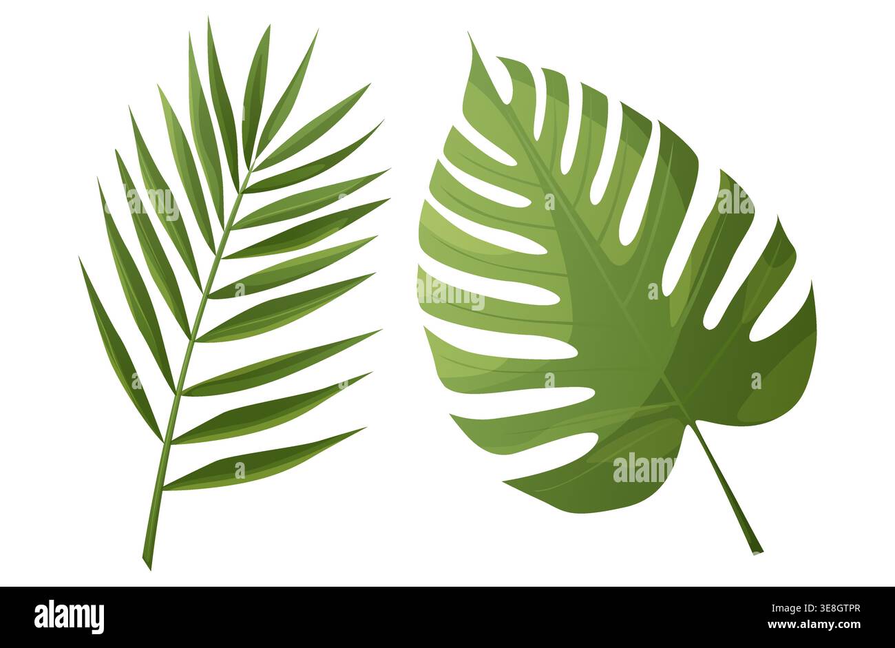 Ensemble de feuilles de palmier et de monstera sur fond isolé. Illustration de Vecteur