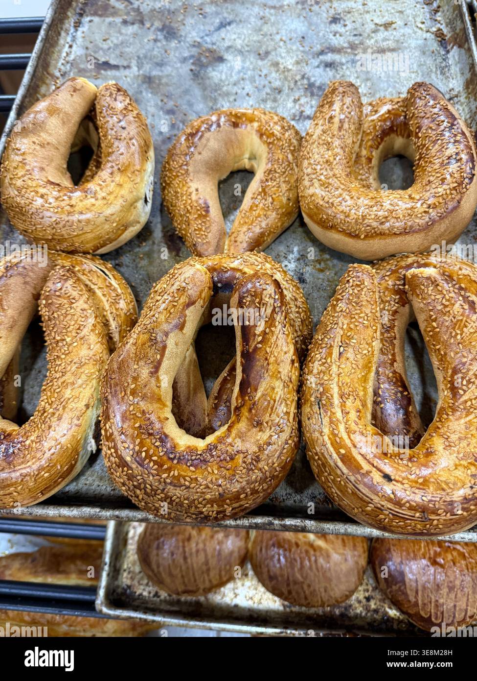 Bagels fraîchement cuits avec des graines de sésame sur des plaques de cuisson dans un cadre de boulangerie. Photo mobile Banque D'Images